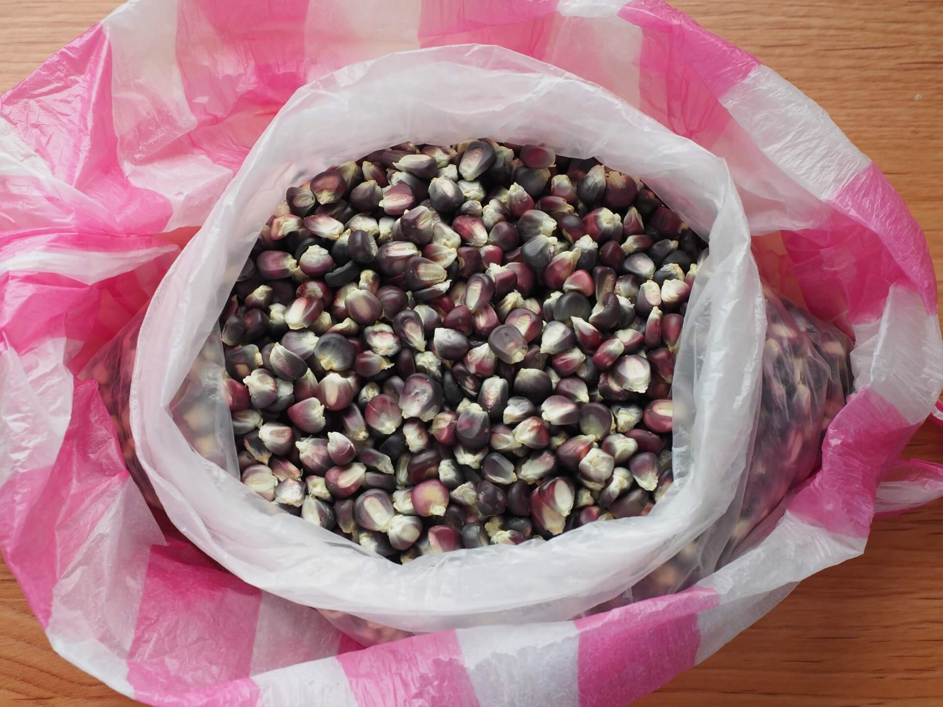 黑珍珠玉米種子