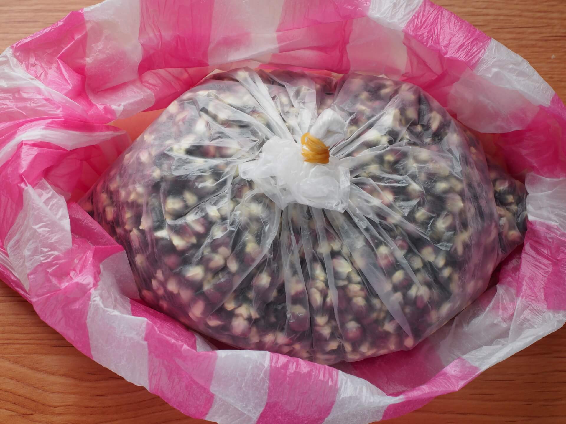 保存黑珍珠玉米種子