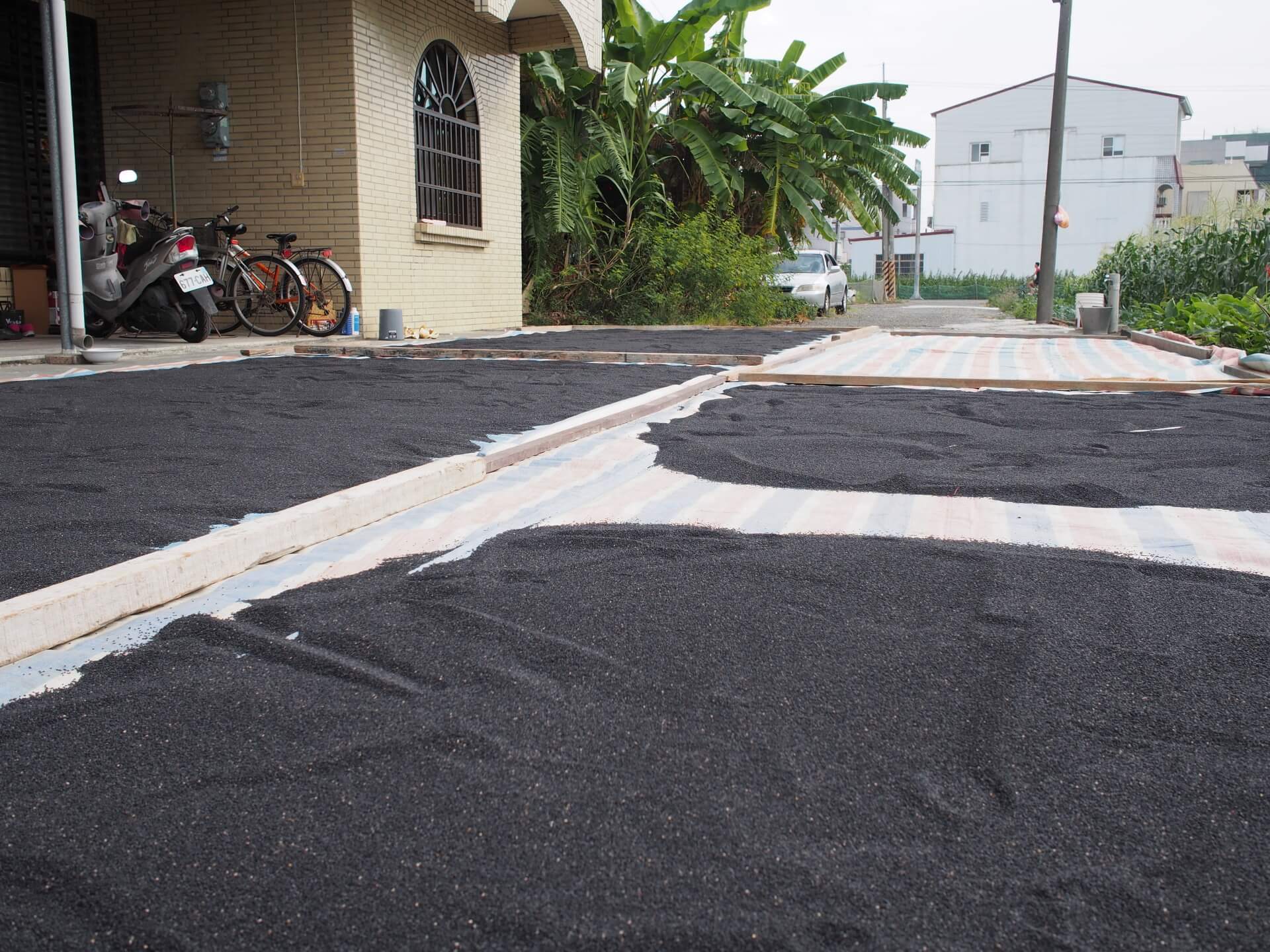 阿玄拍攝的照片