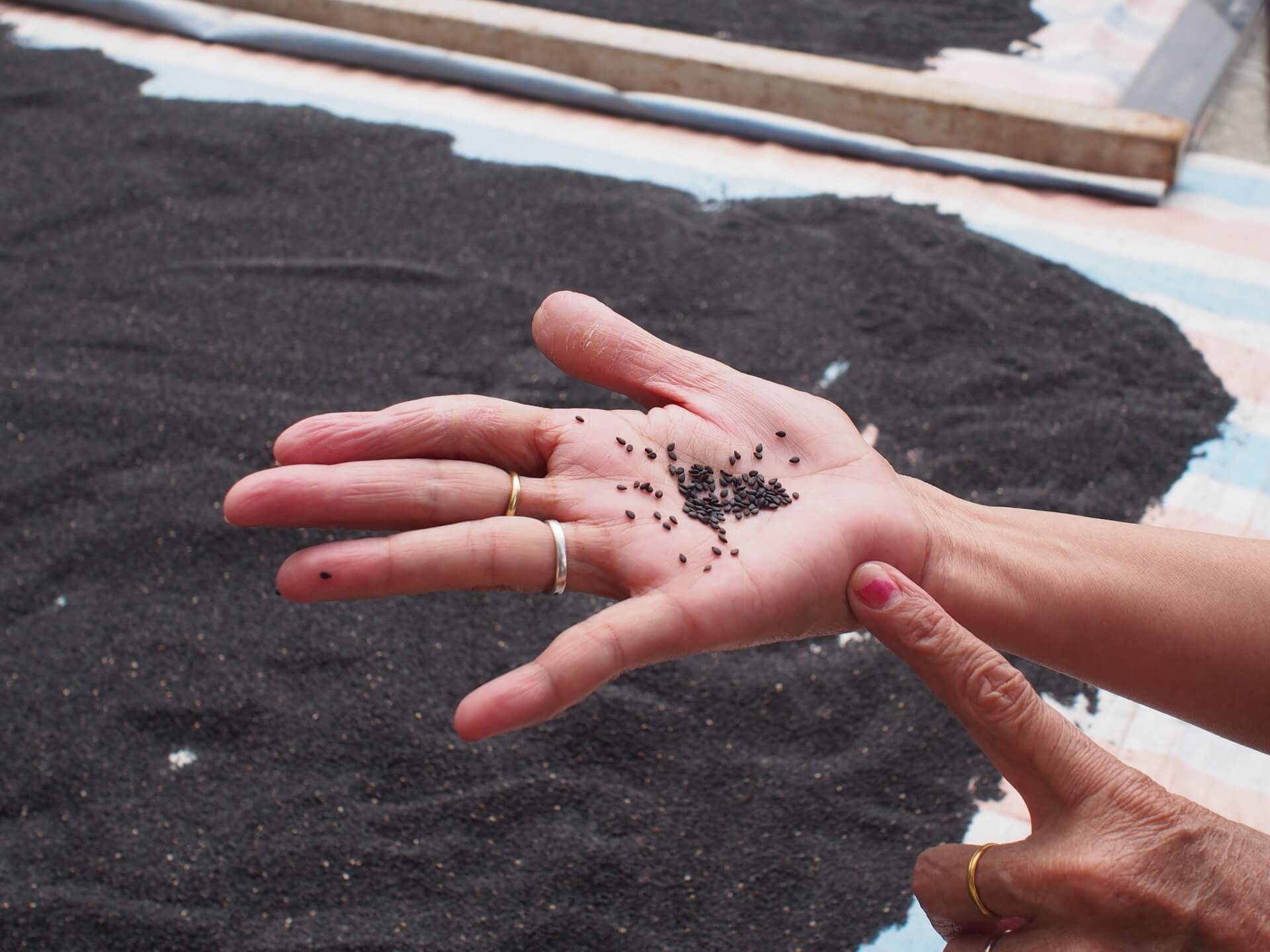 阿玄拍攝的照片