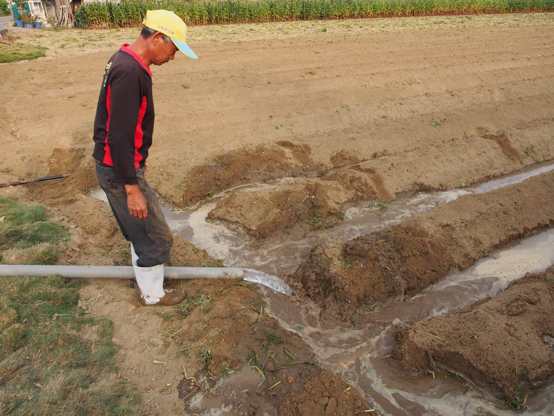 地下水灌溉農田