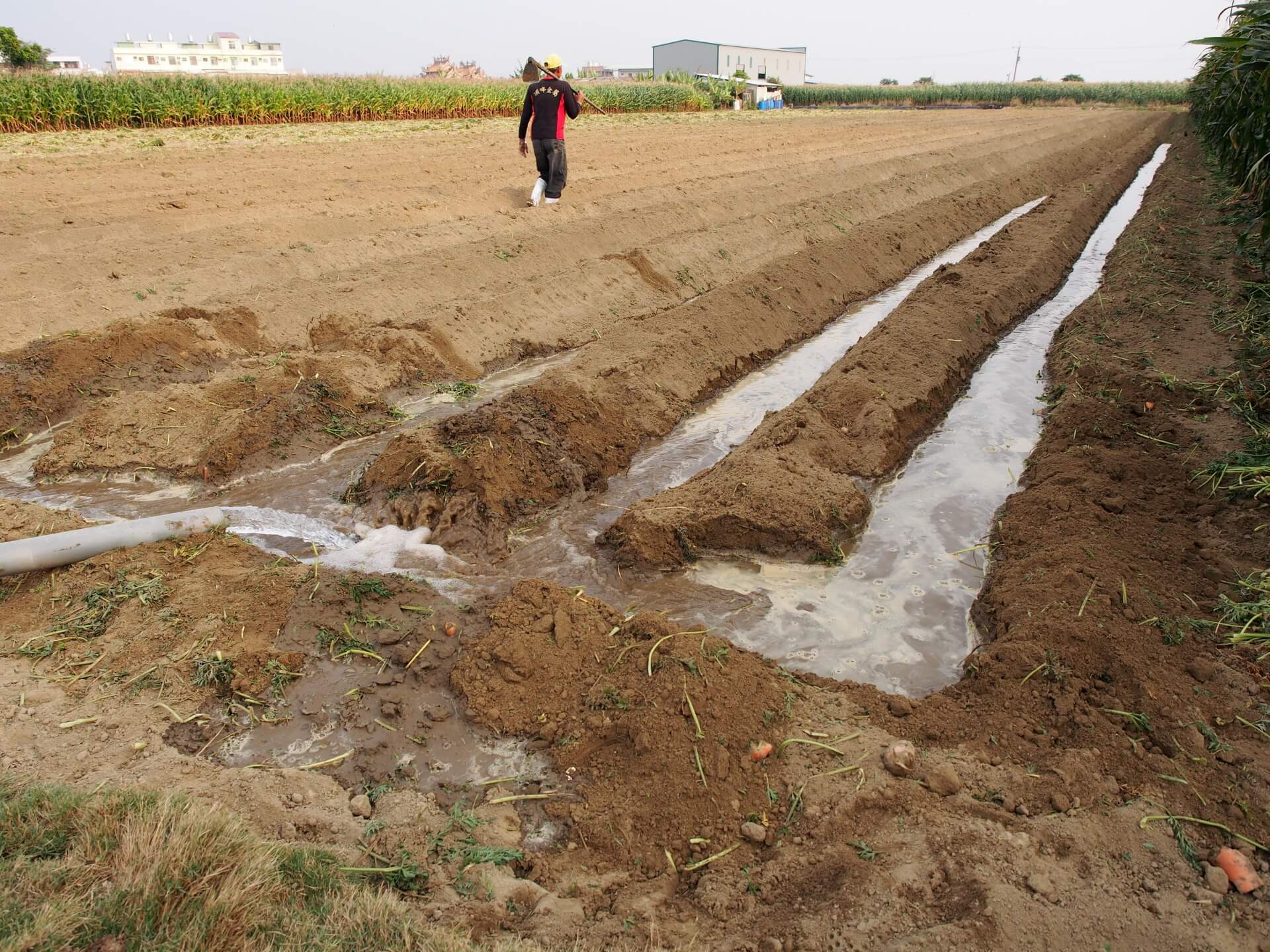 地下水灌溉農田