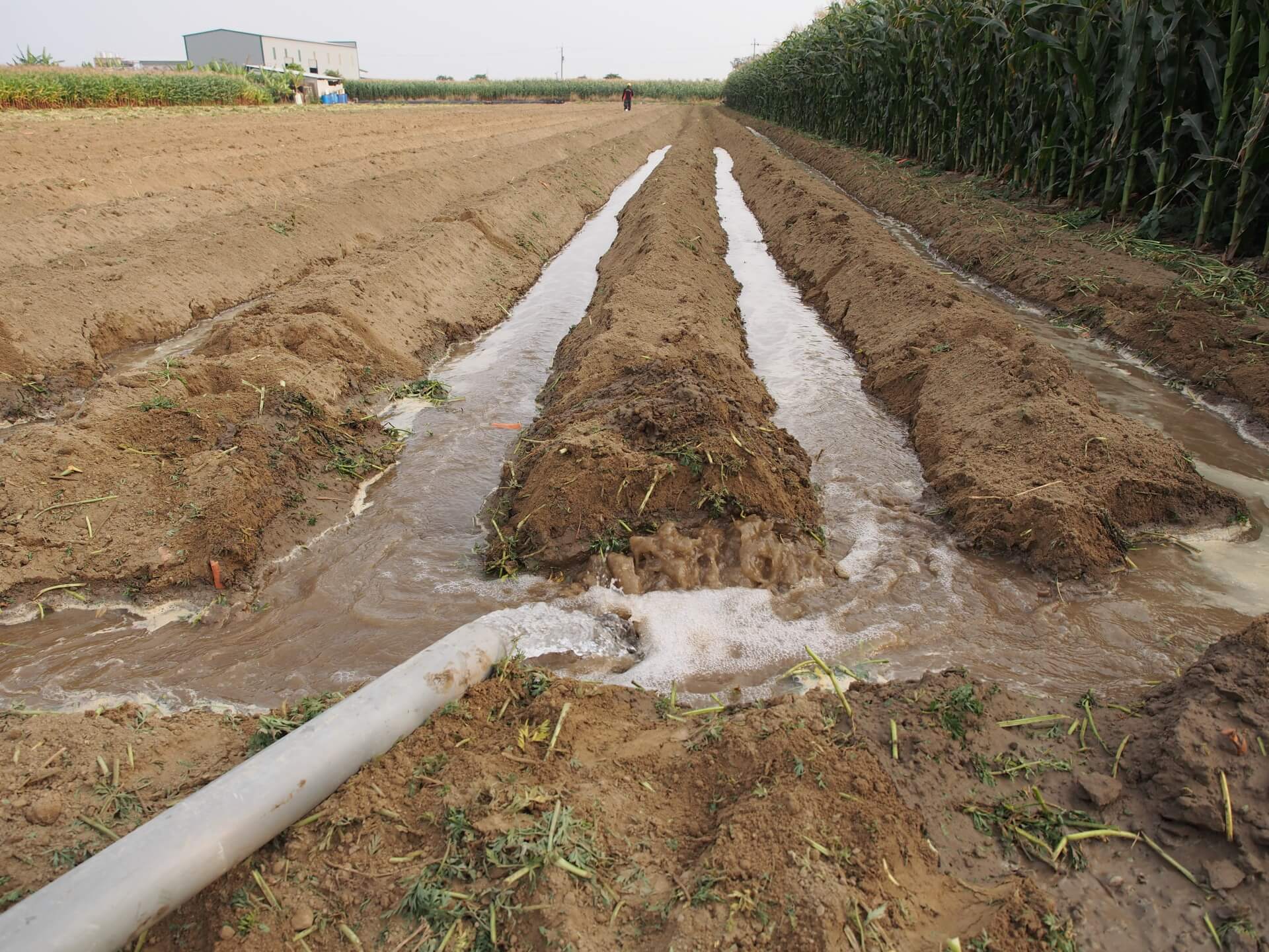 地下水灌溉農田