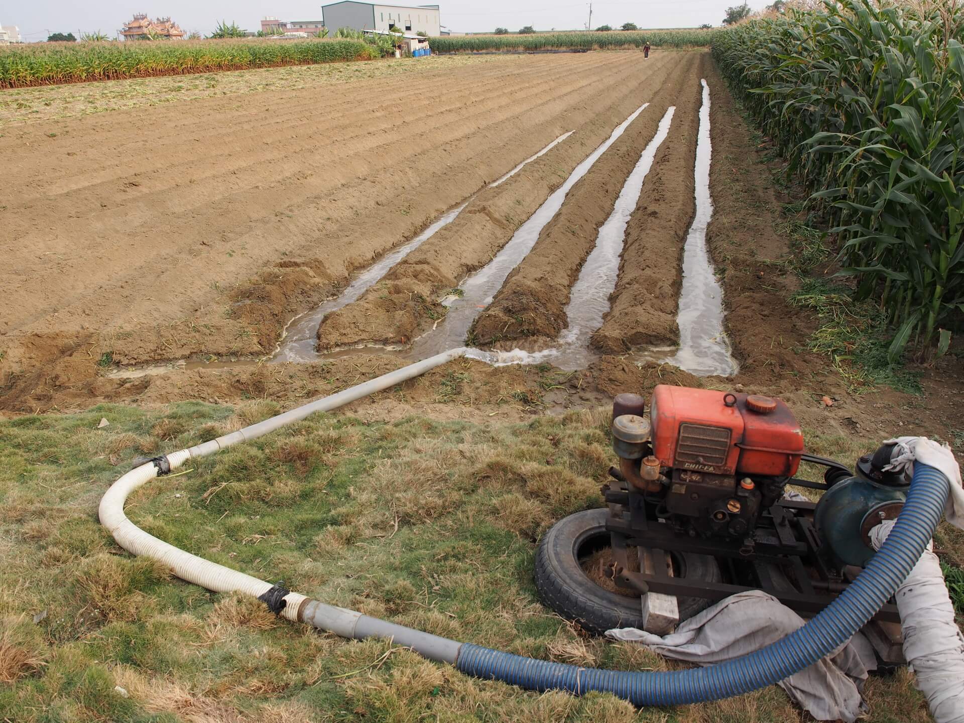 抽水機抽取地下水灌溉農田