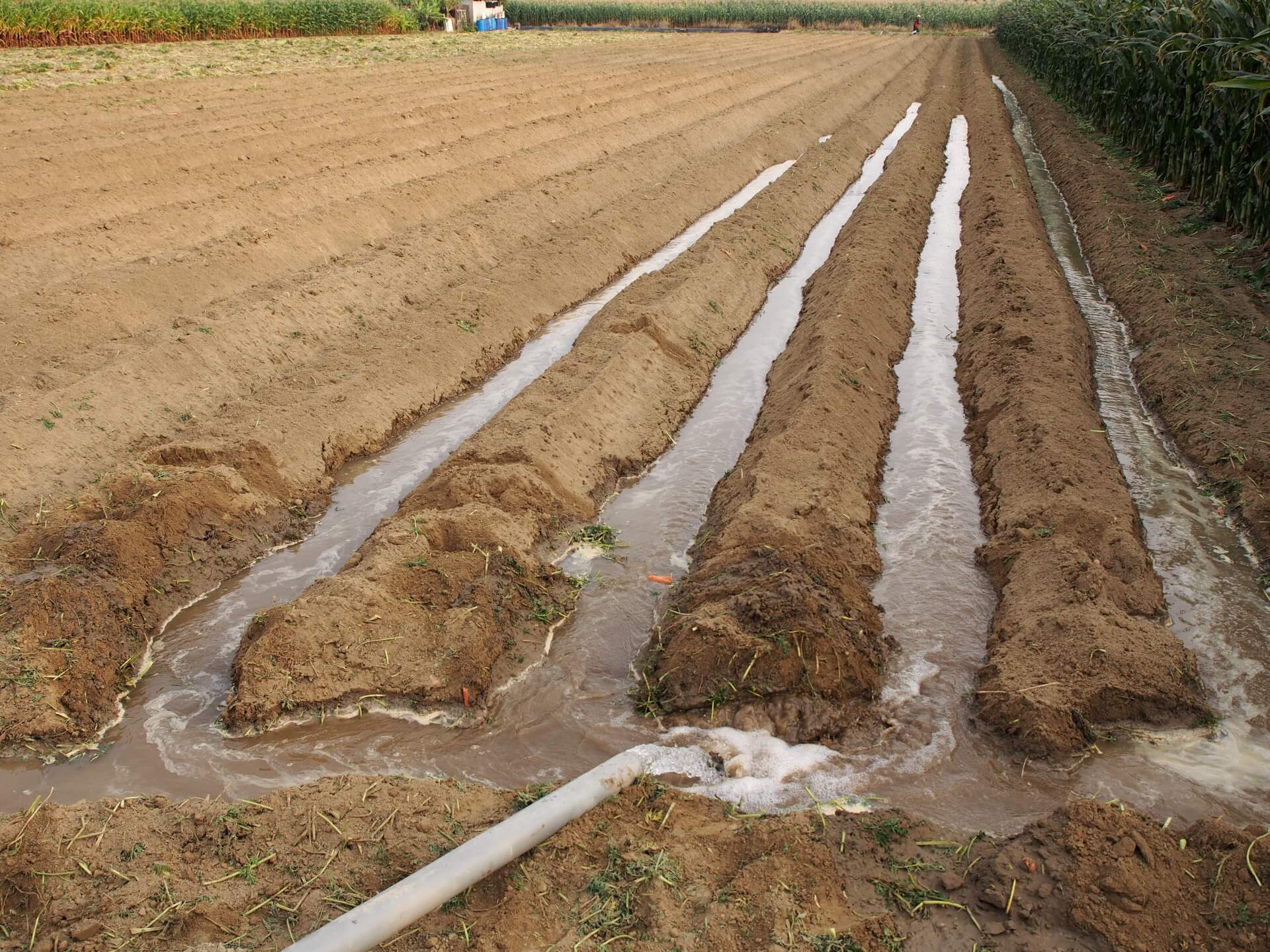 地下水灌溉農田