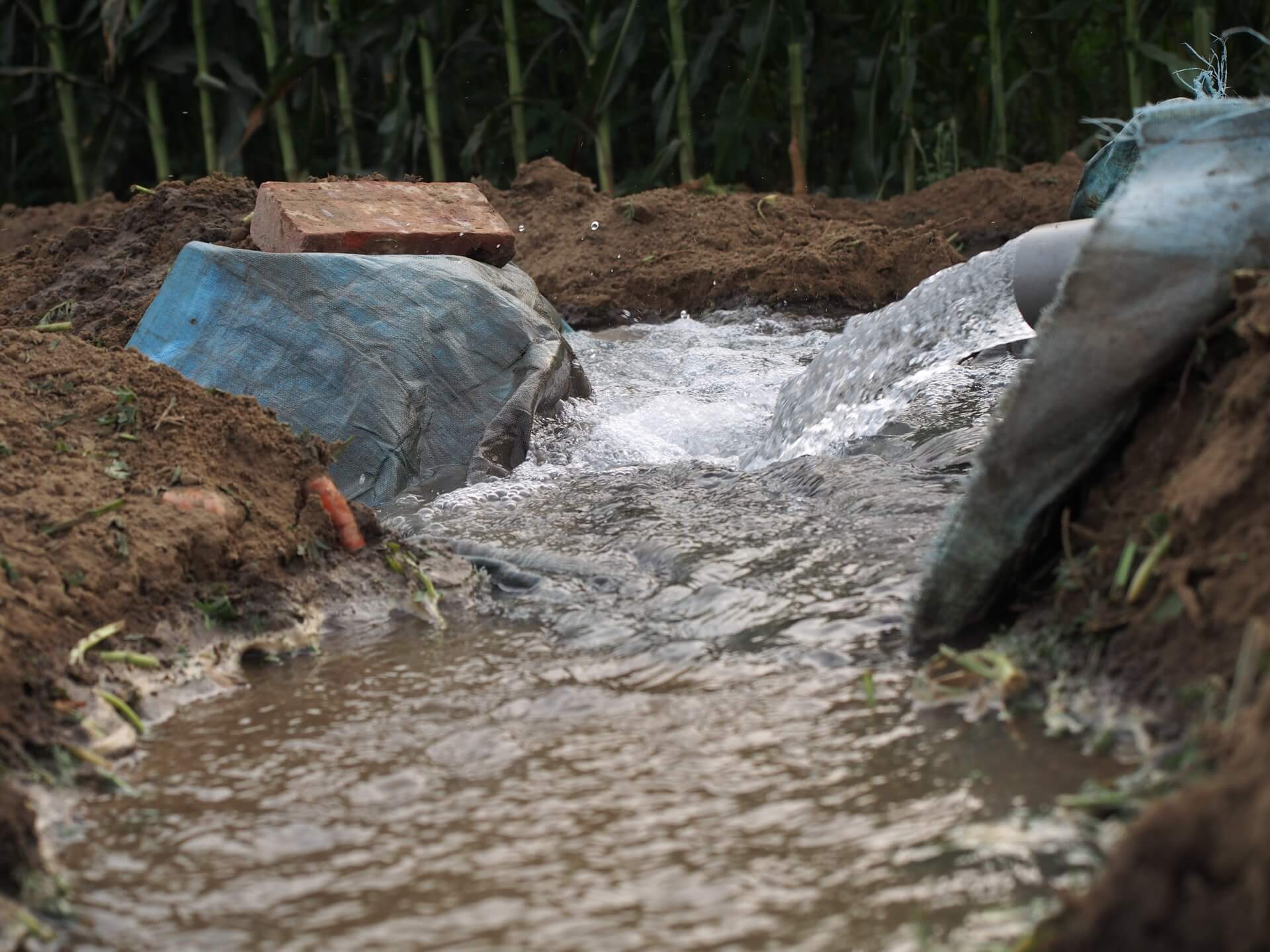 地下水灌溉農田
