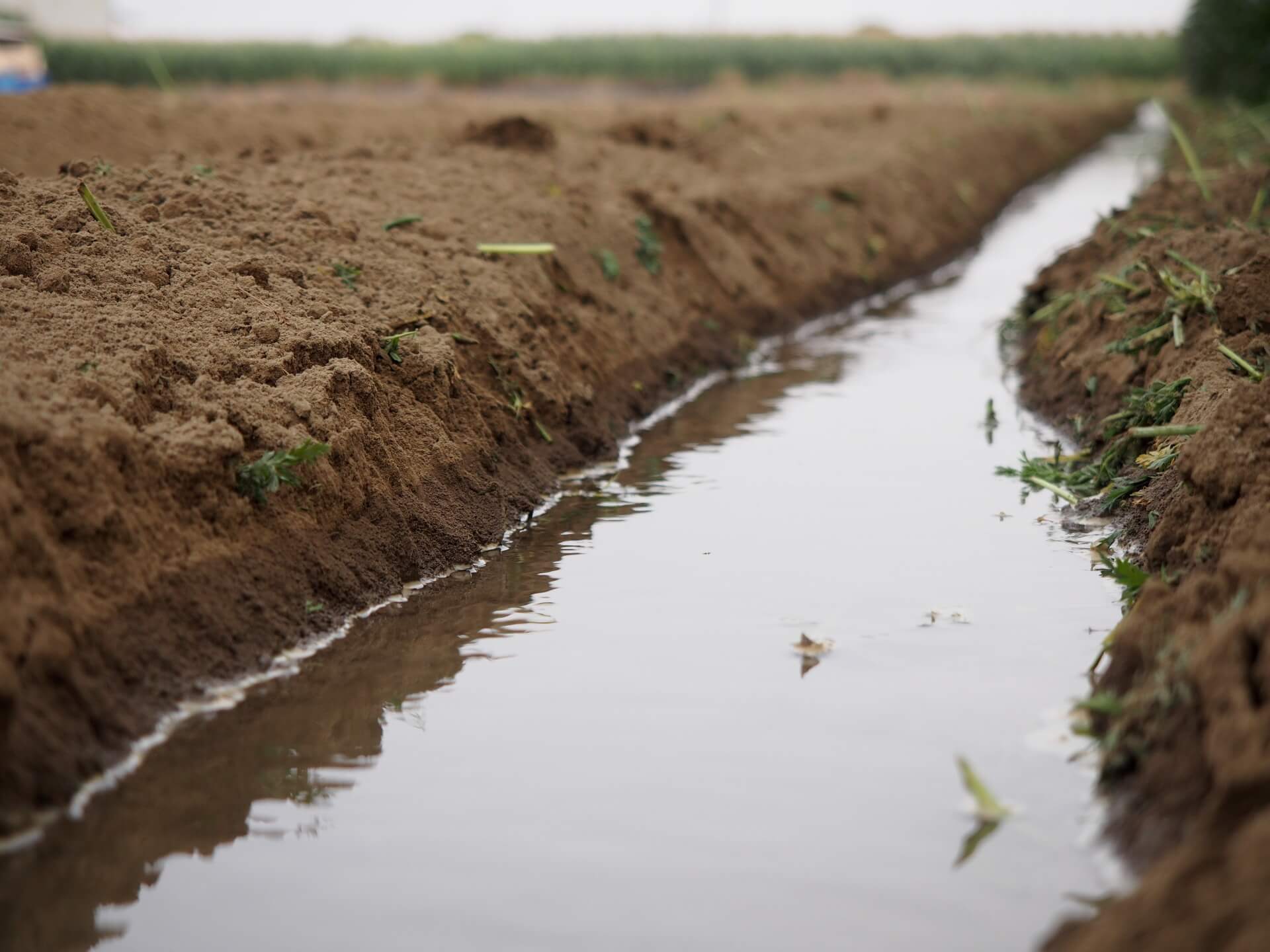 灌溉水流