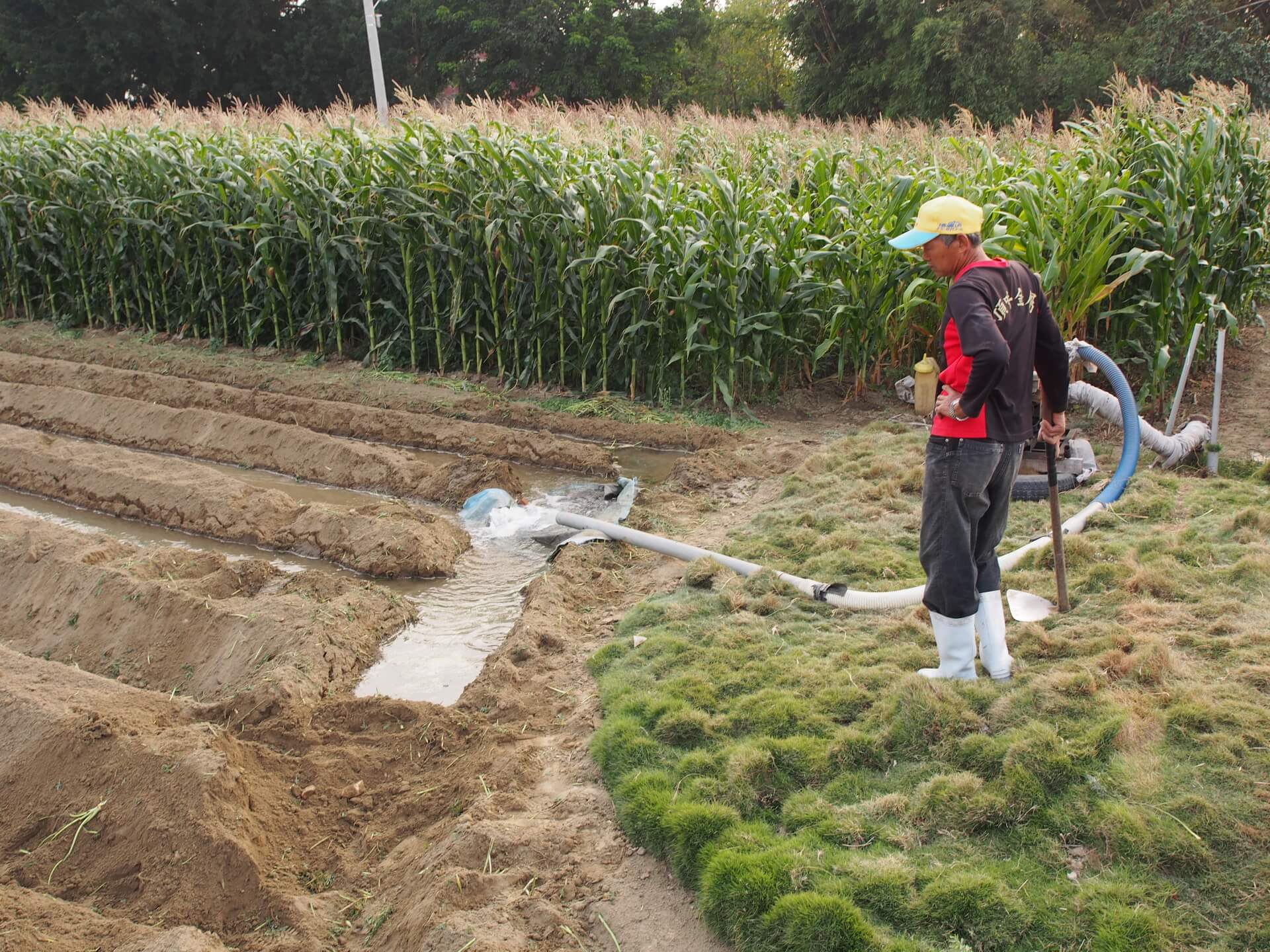 地下水灌溉農田