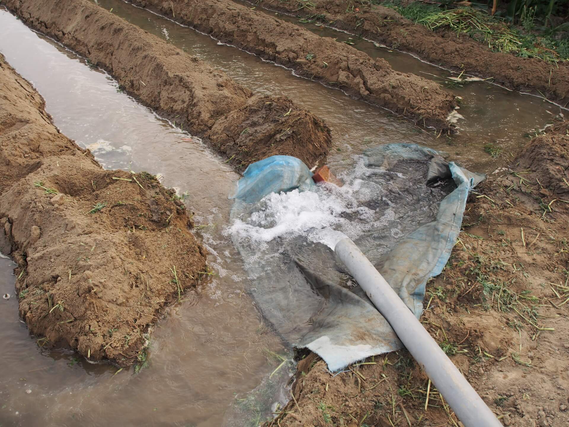 地下水灌溉農田