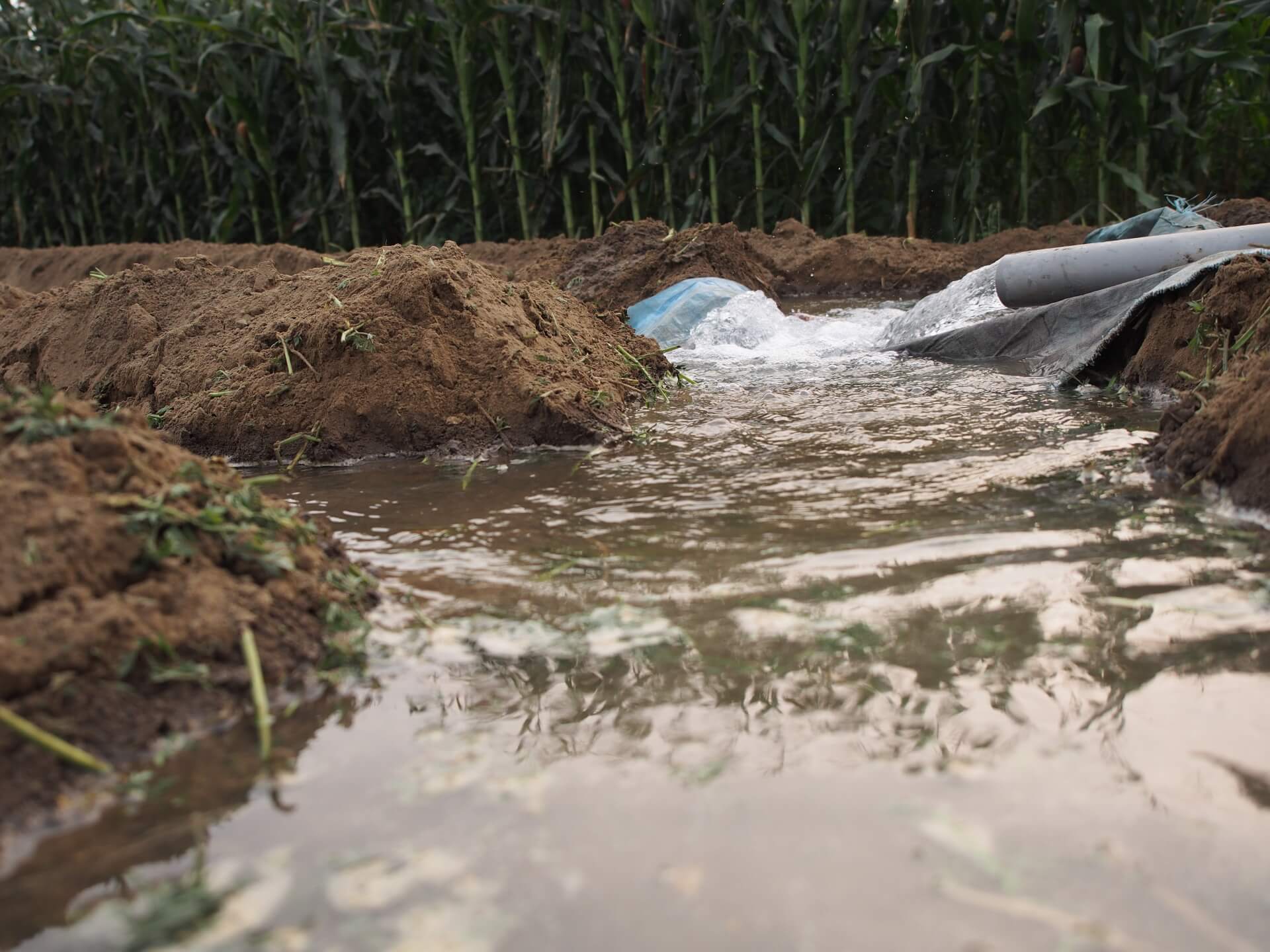 地下水灌溉農田