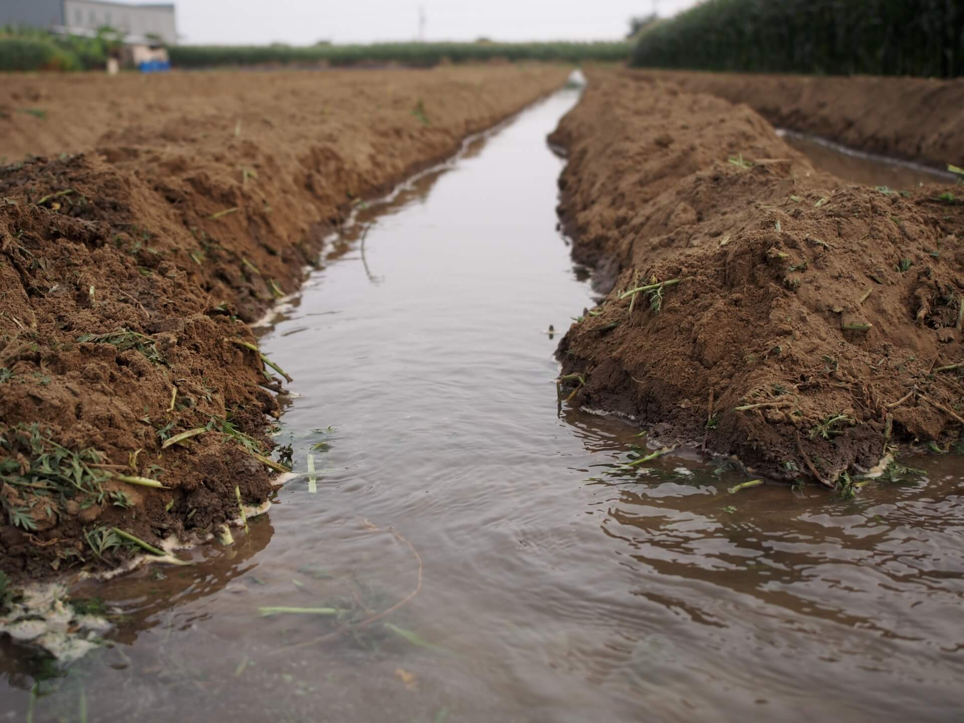 灌溉水流