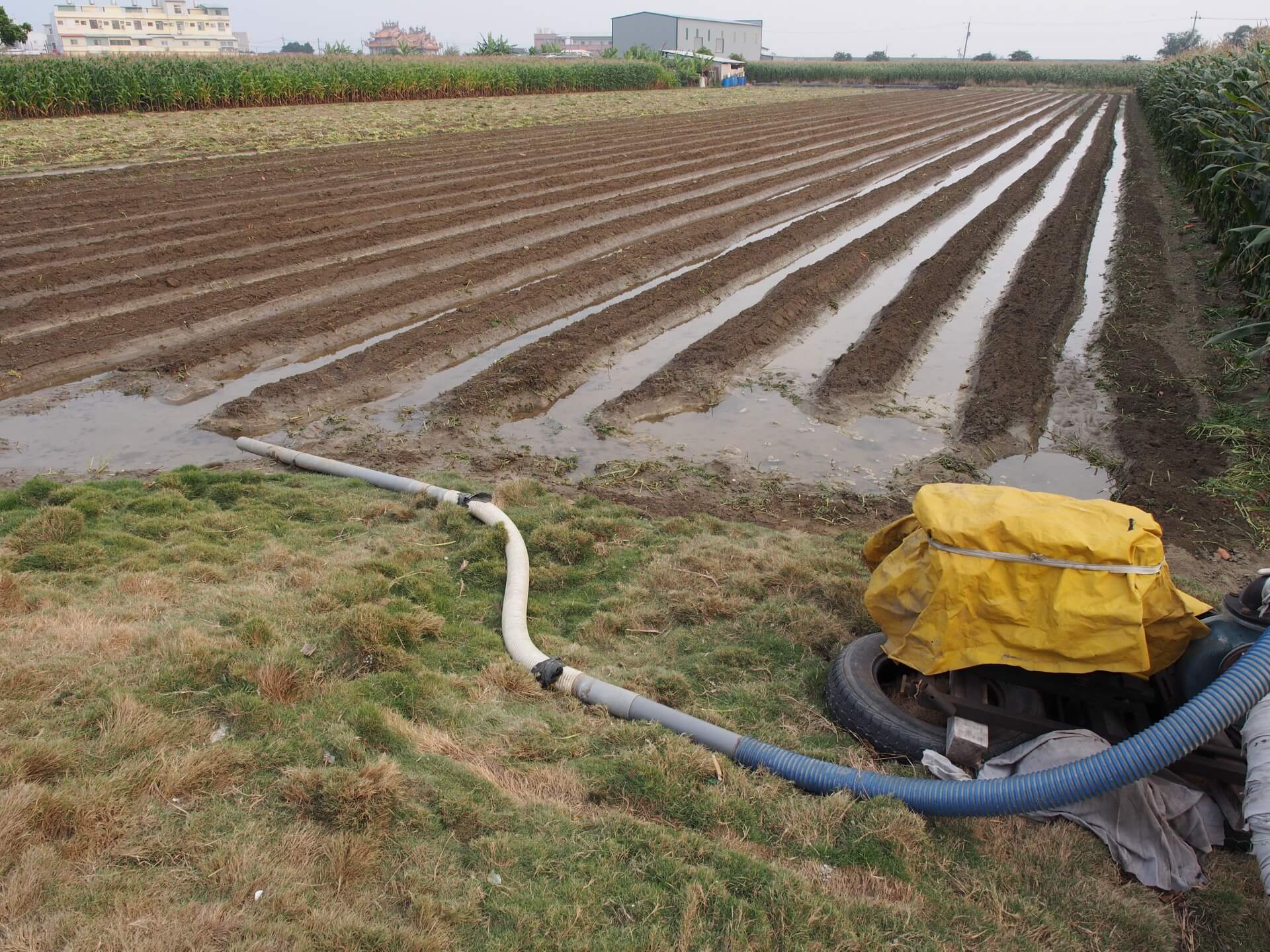 地下水灌溉農田