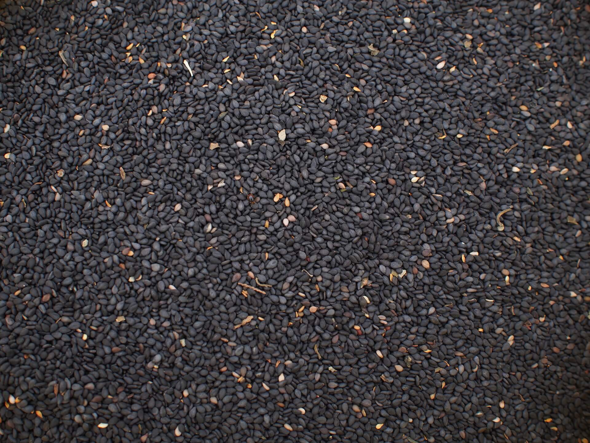 初步篩完的黑芝麻