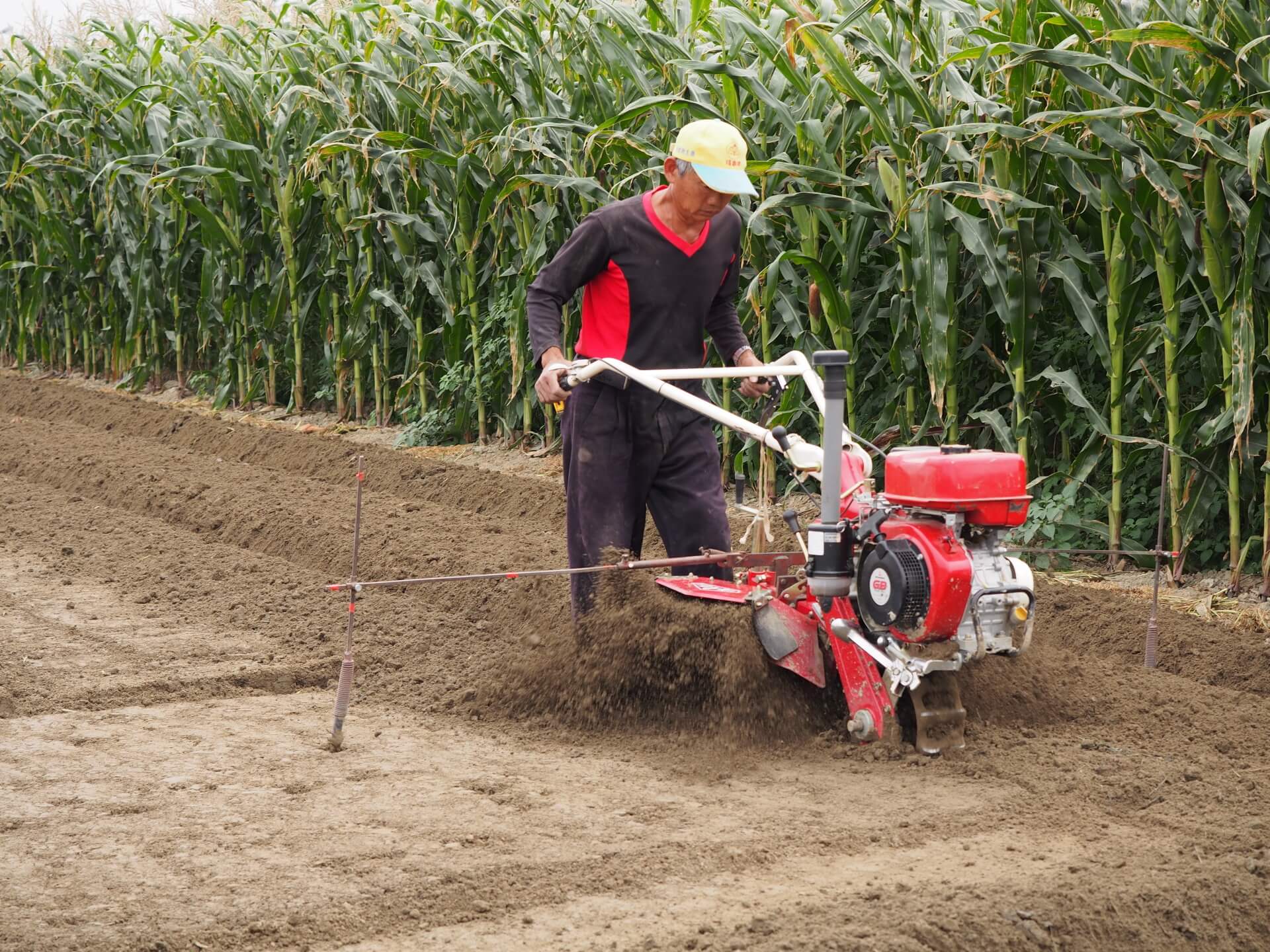 農田使用中耕機翻土