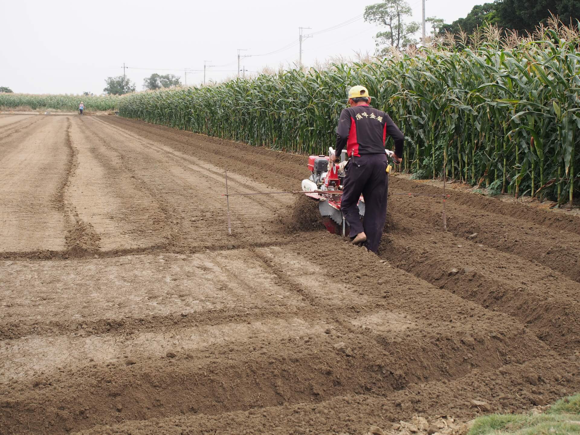 農田使用中耕機翻土
