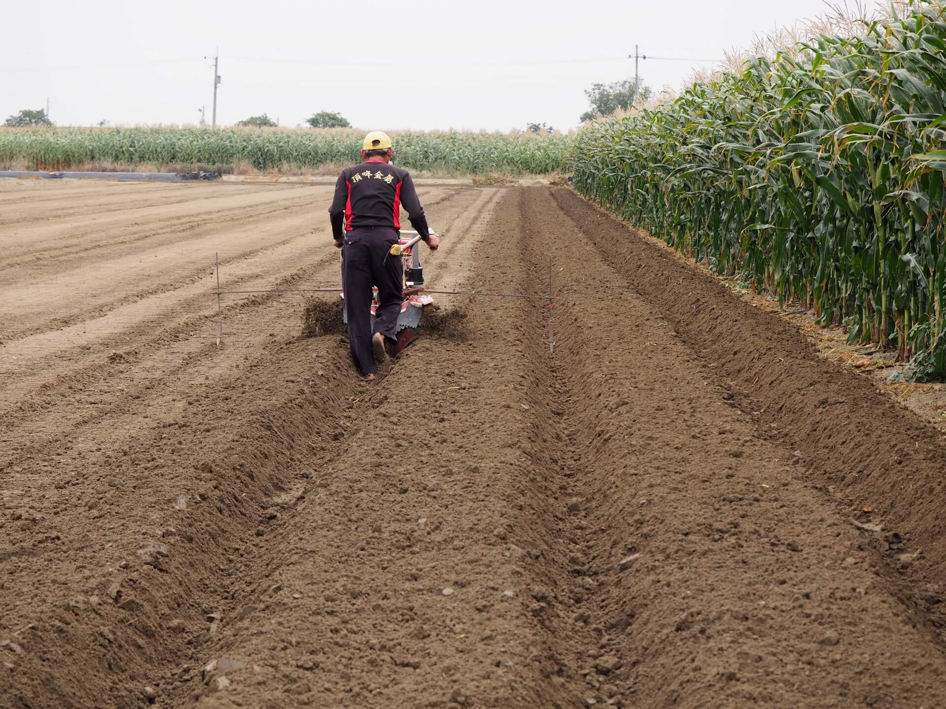 農田使用中耕機翻土
