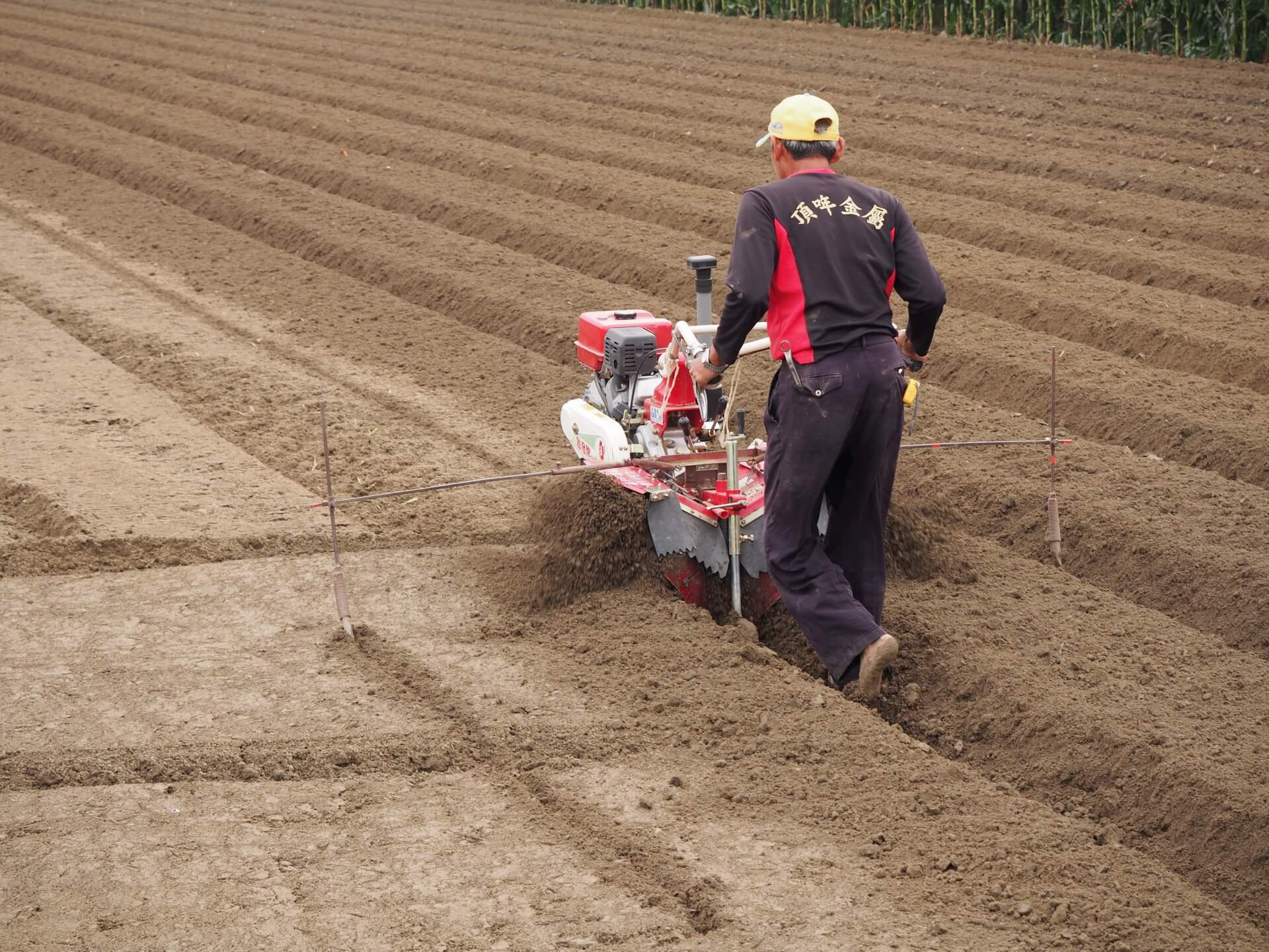 農田使用中耕機翻土