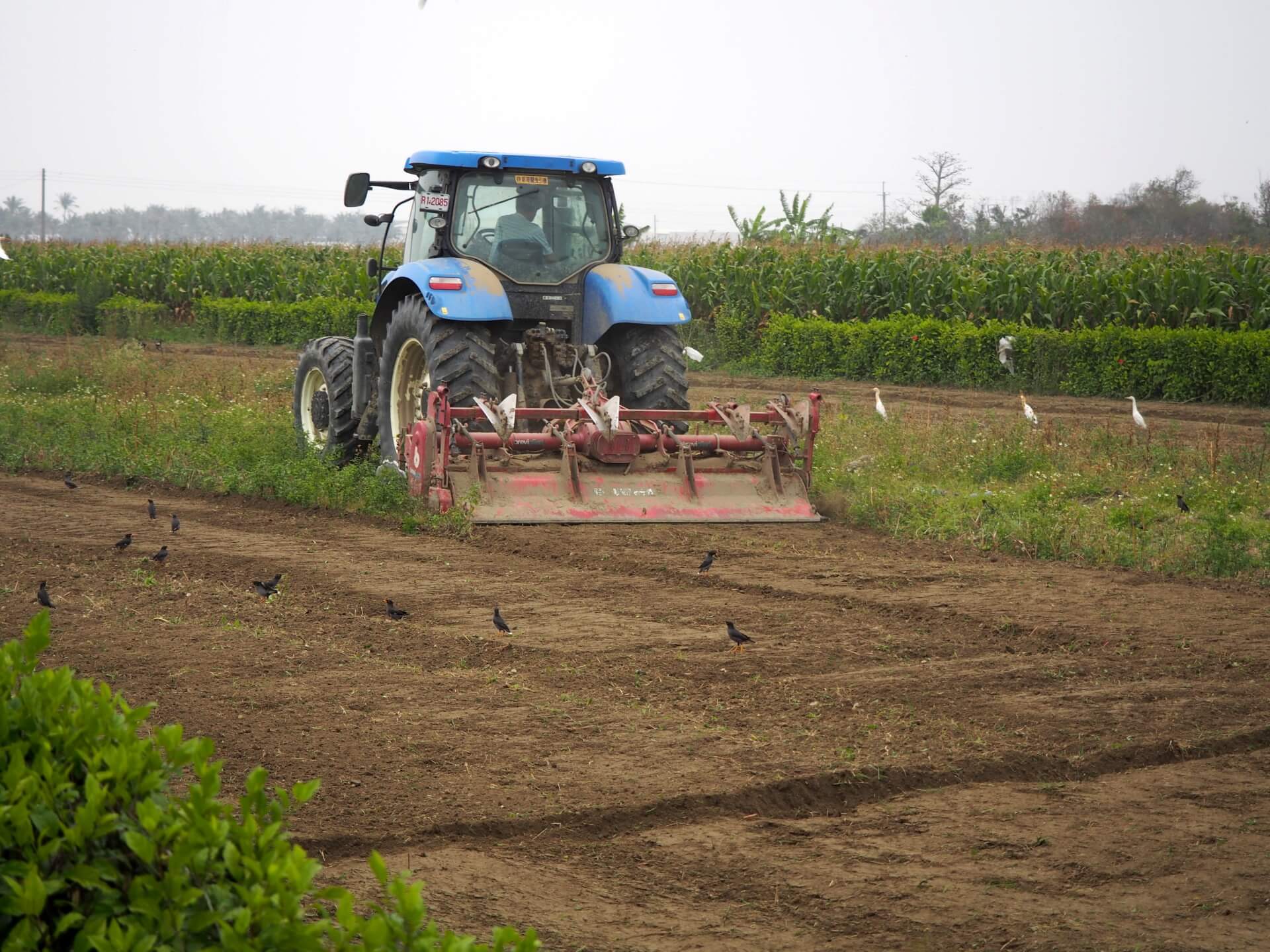 耕耘機翻土除草
