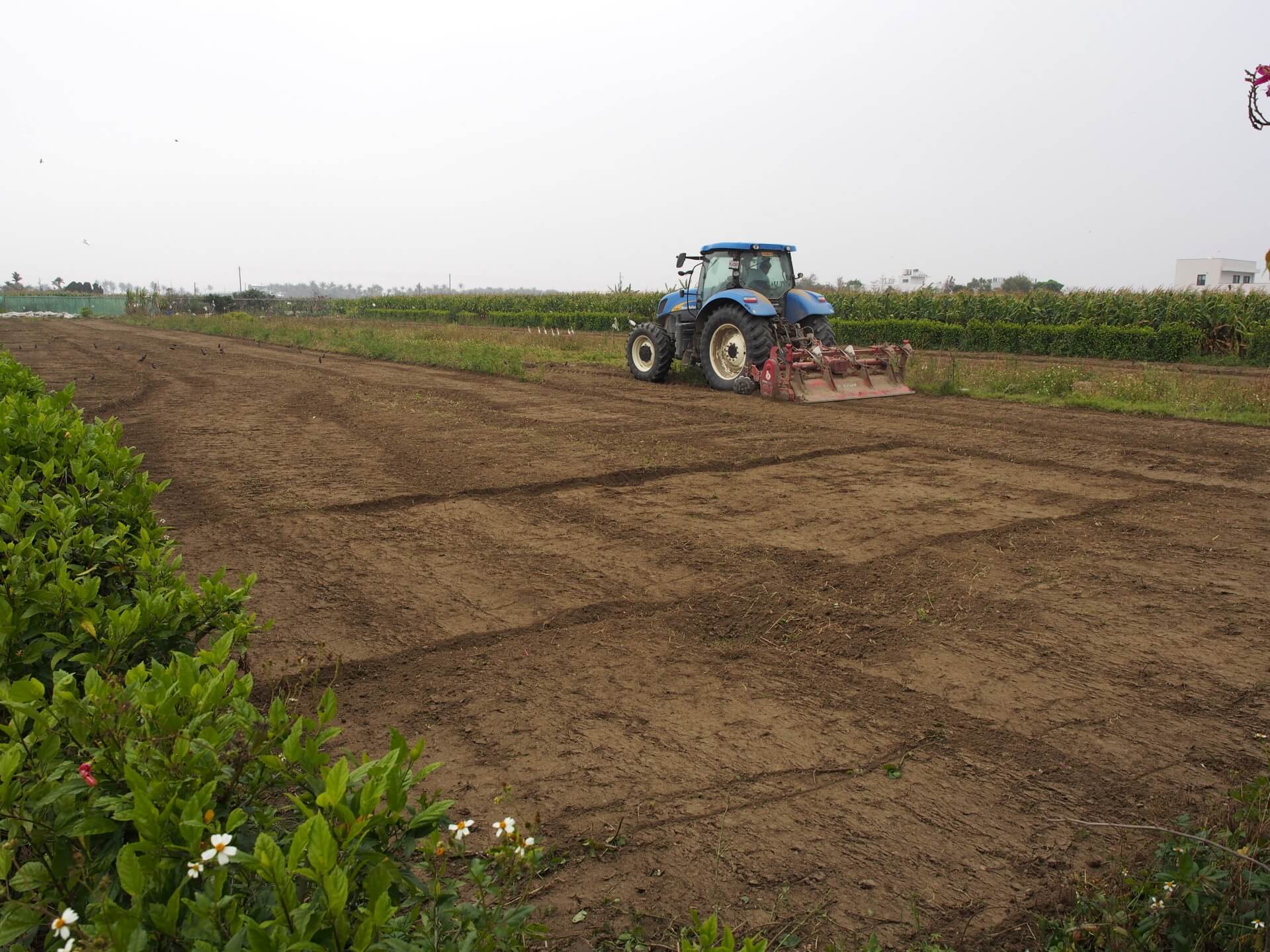 耕耘機翻土除草