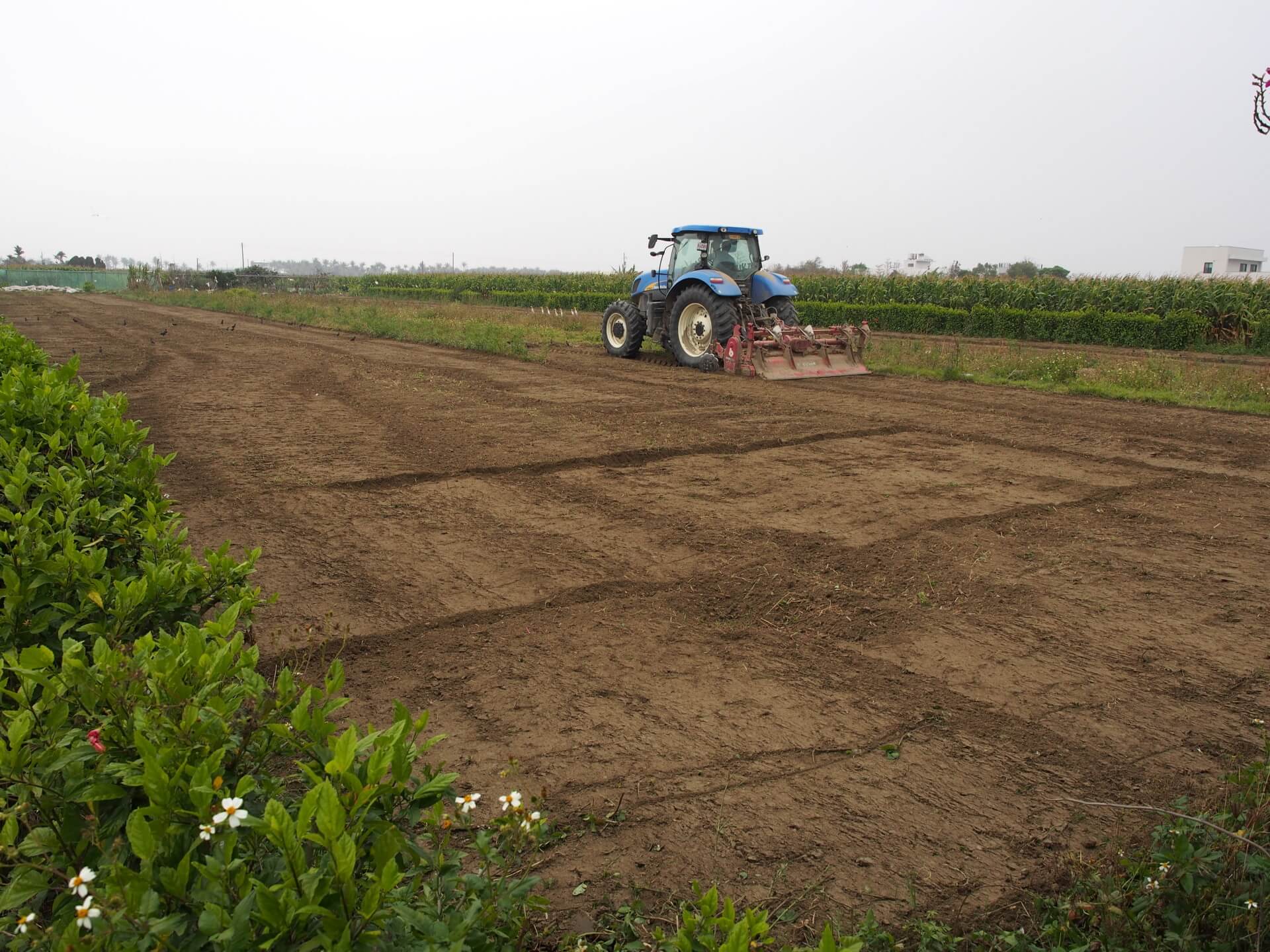 耕耘機翻土除草