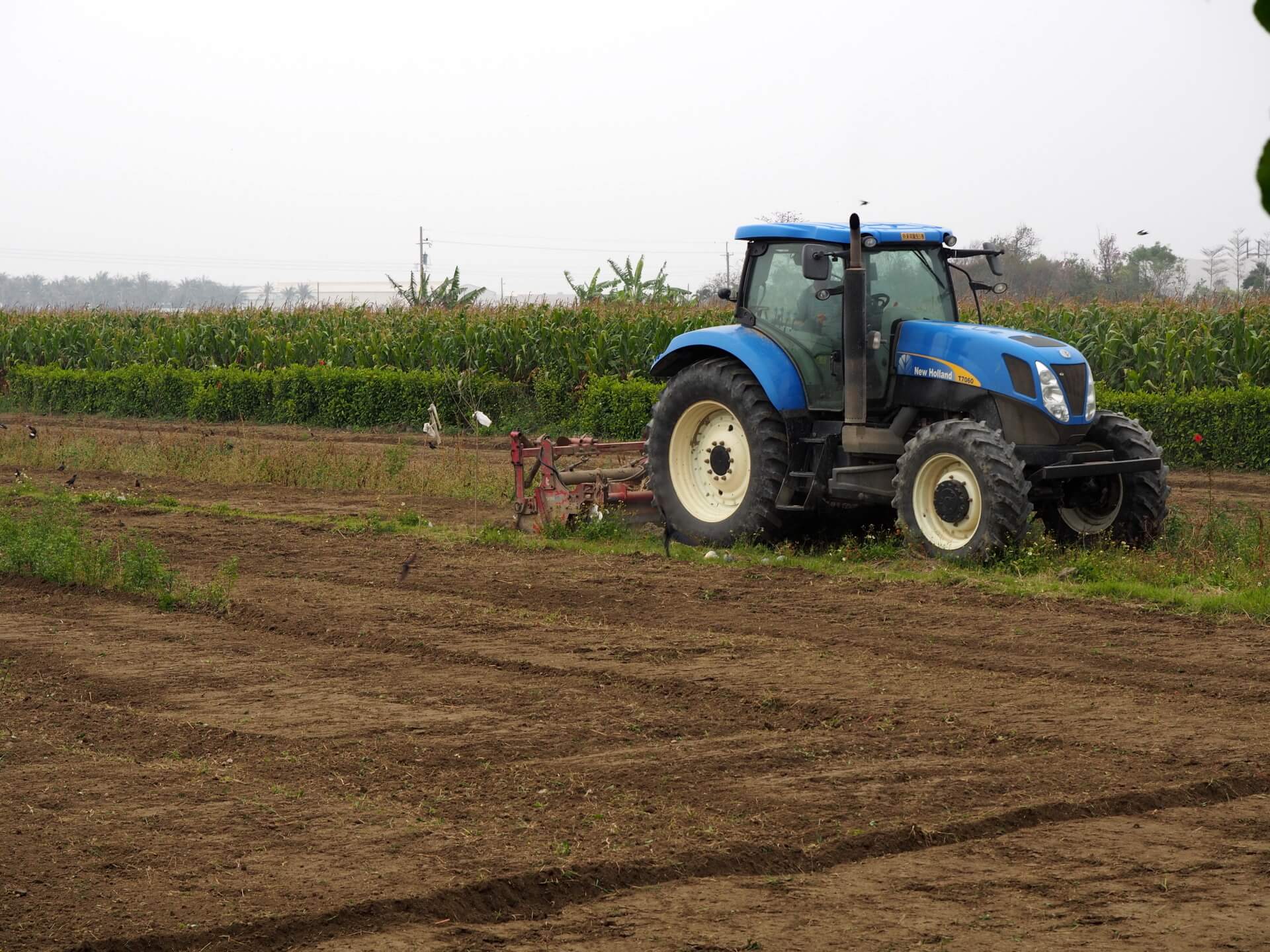 耕耘機翻土除草