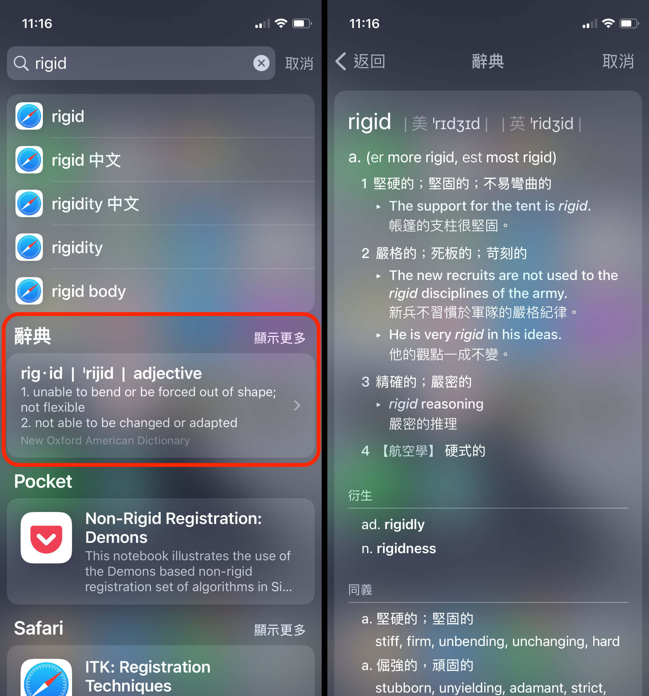 辭典查詢結果