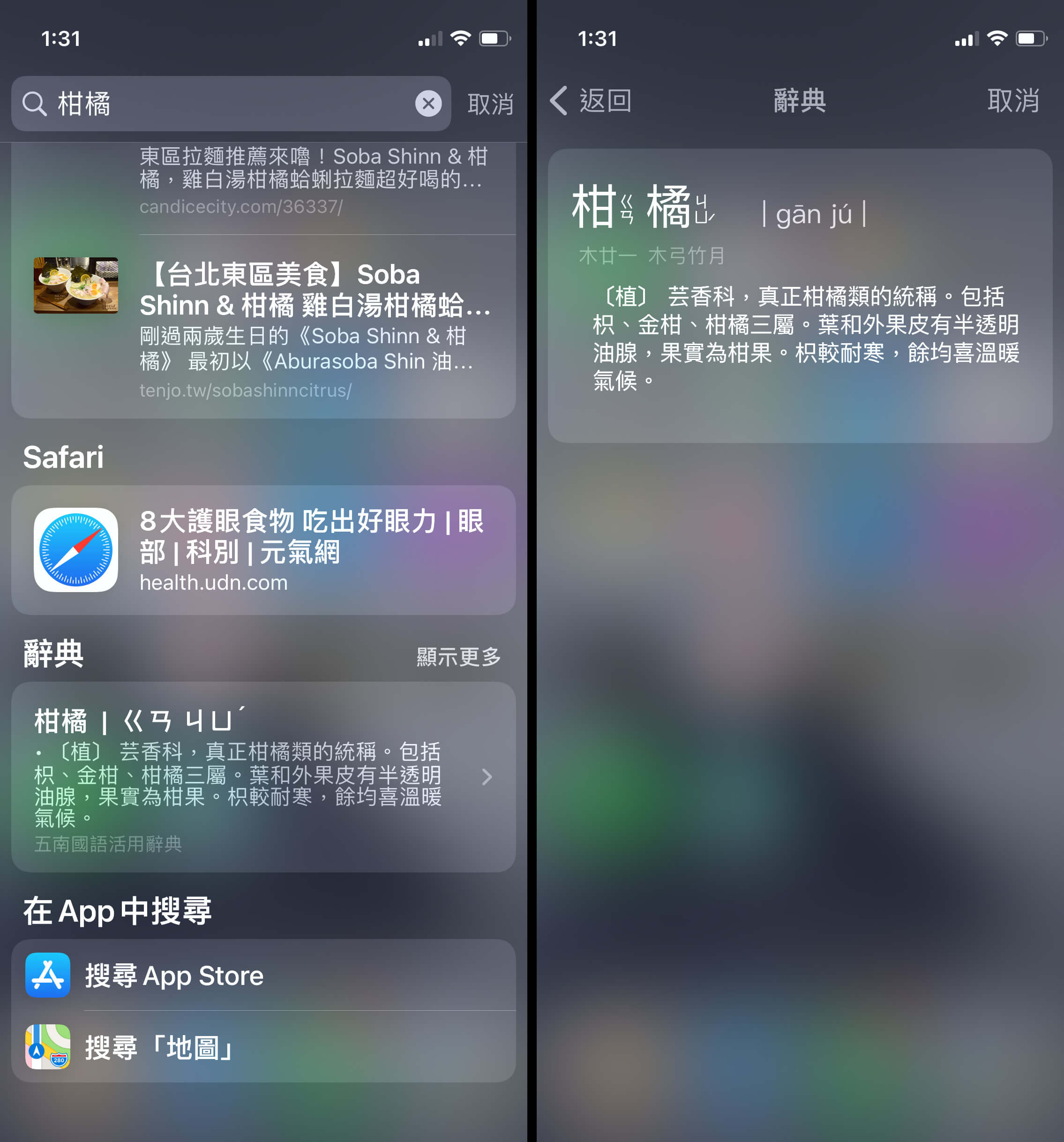 辭典查詢結果