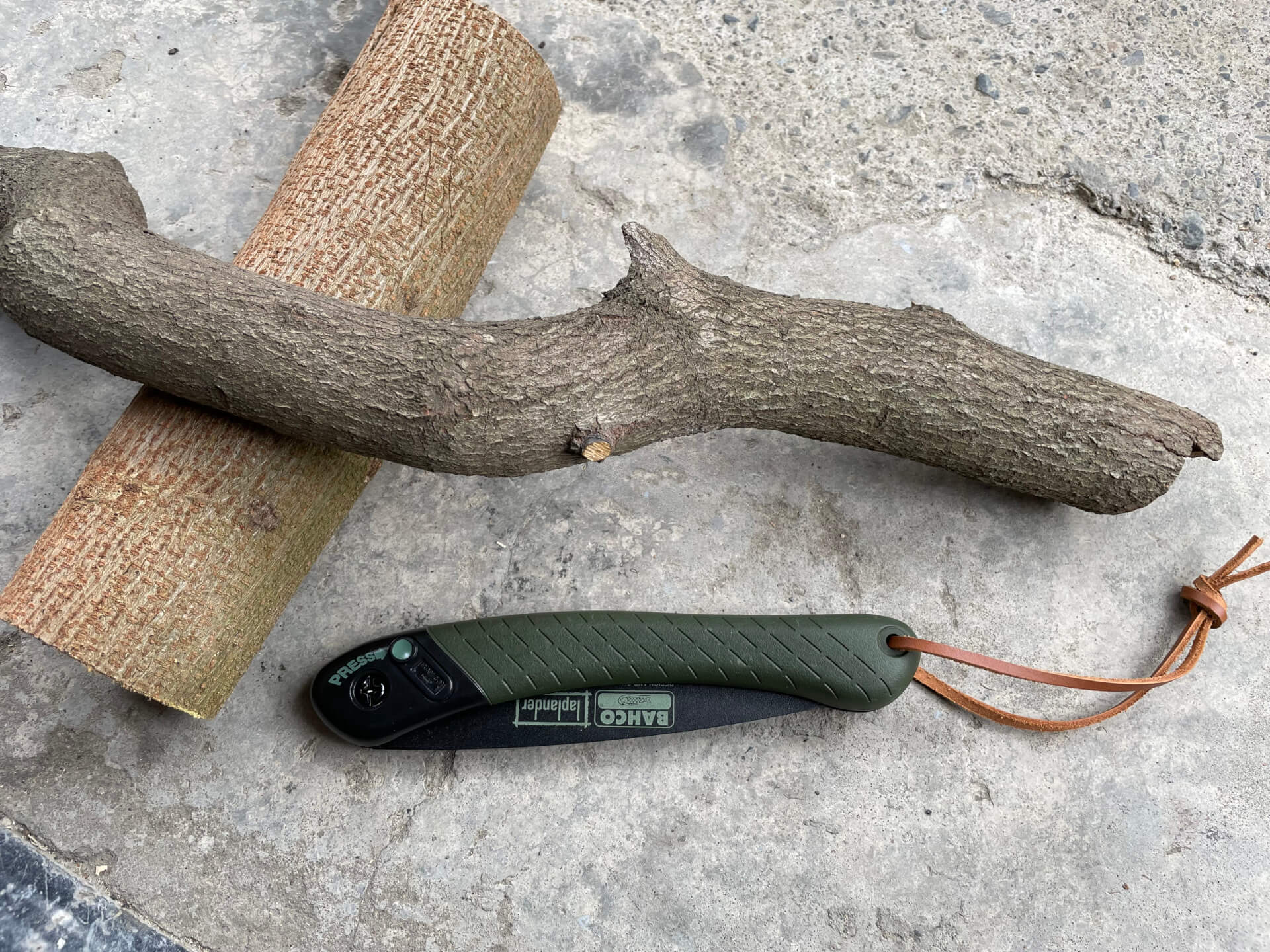 樟木枝幹與鋸子