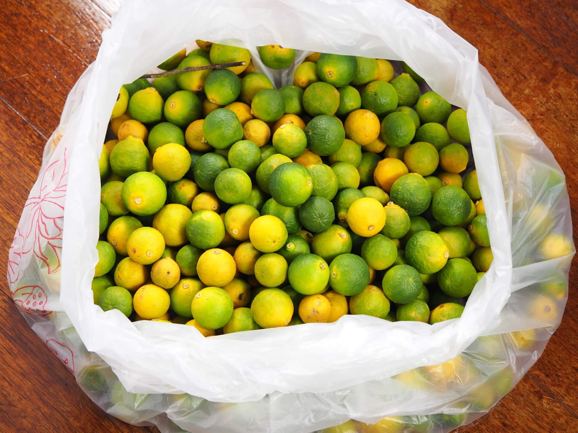 疏果採下來的小椪柑