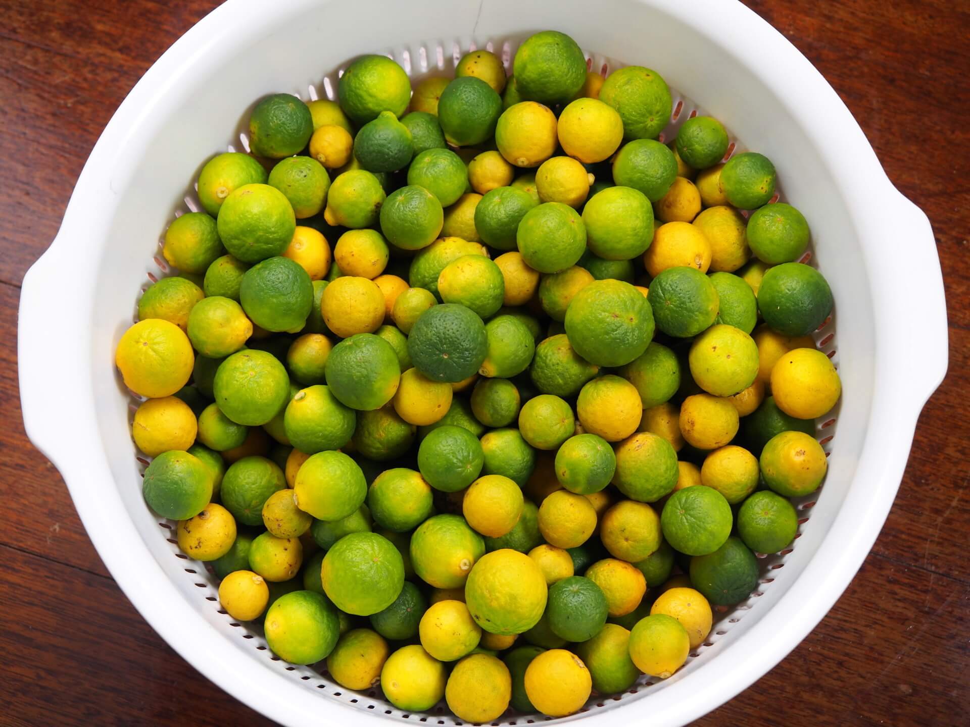 疏果採下來的小椪柑