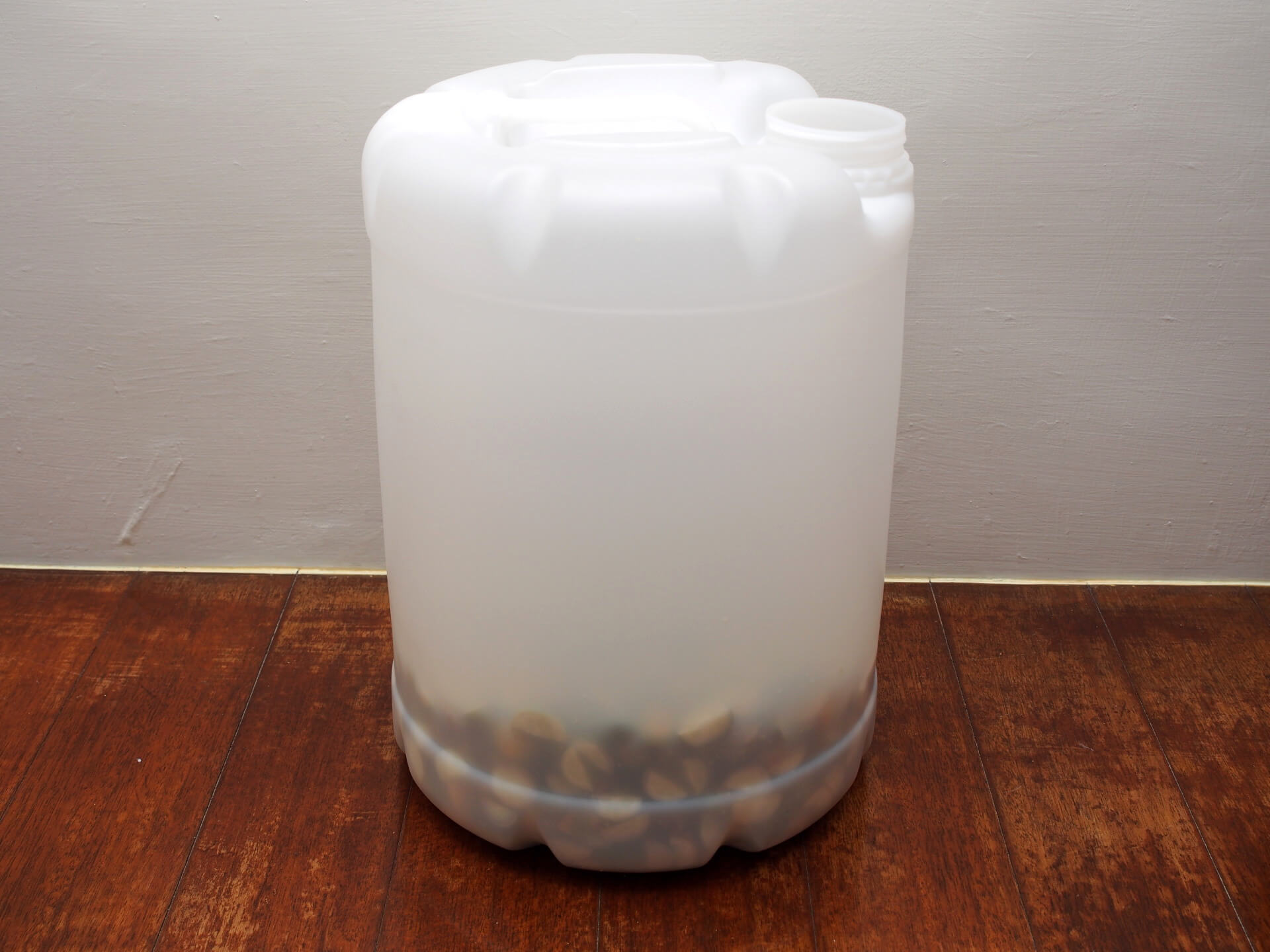 將小椪柑放入塑膠桶