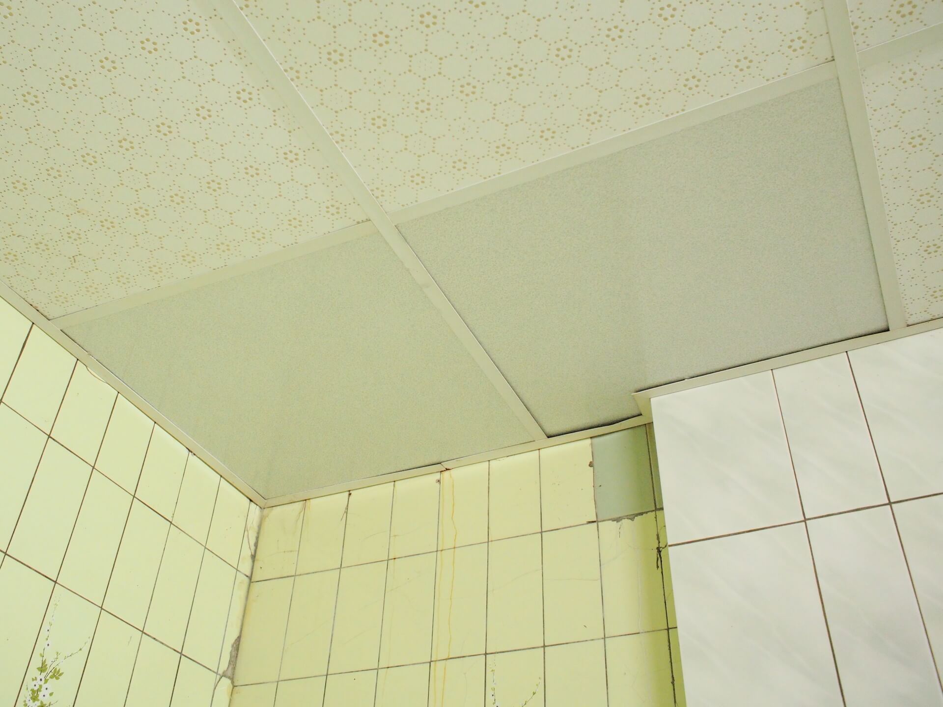 新的輕鋼架 PVC 天花板