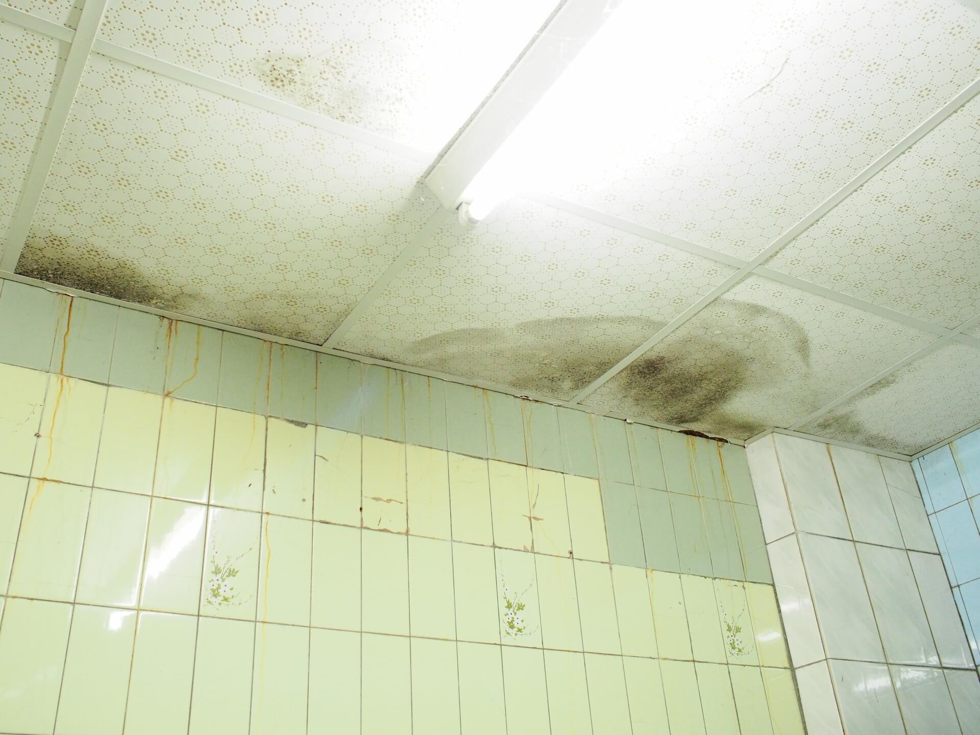 發霉的輕鋼架天花板