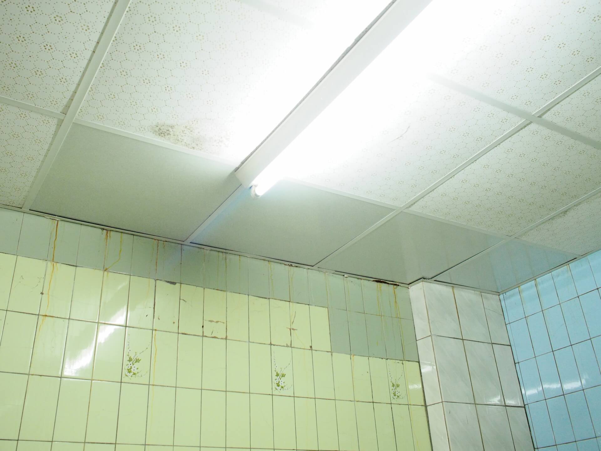 新的輕鋼架 PVC 天花板