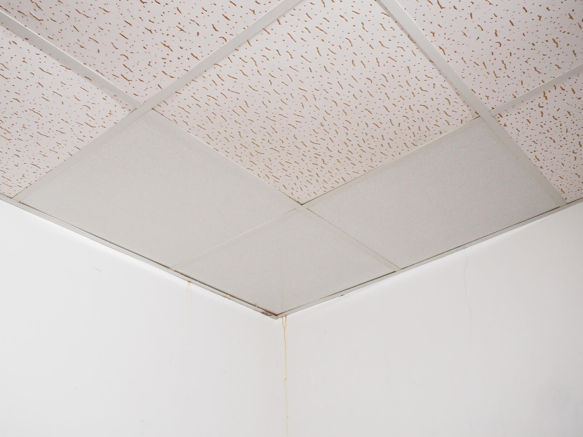 新的輕鋼架 PVC 天花板