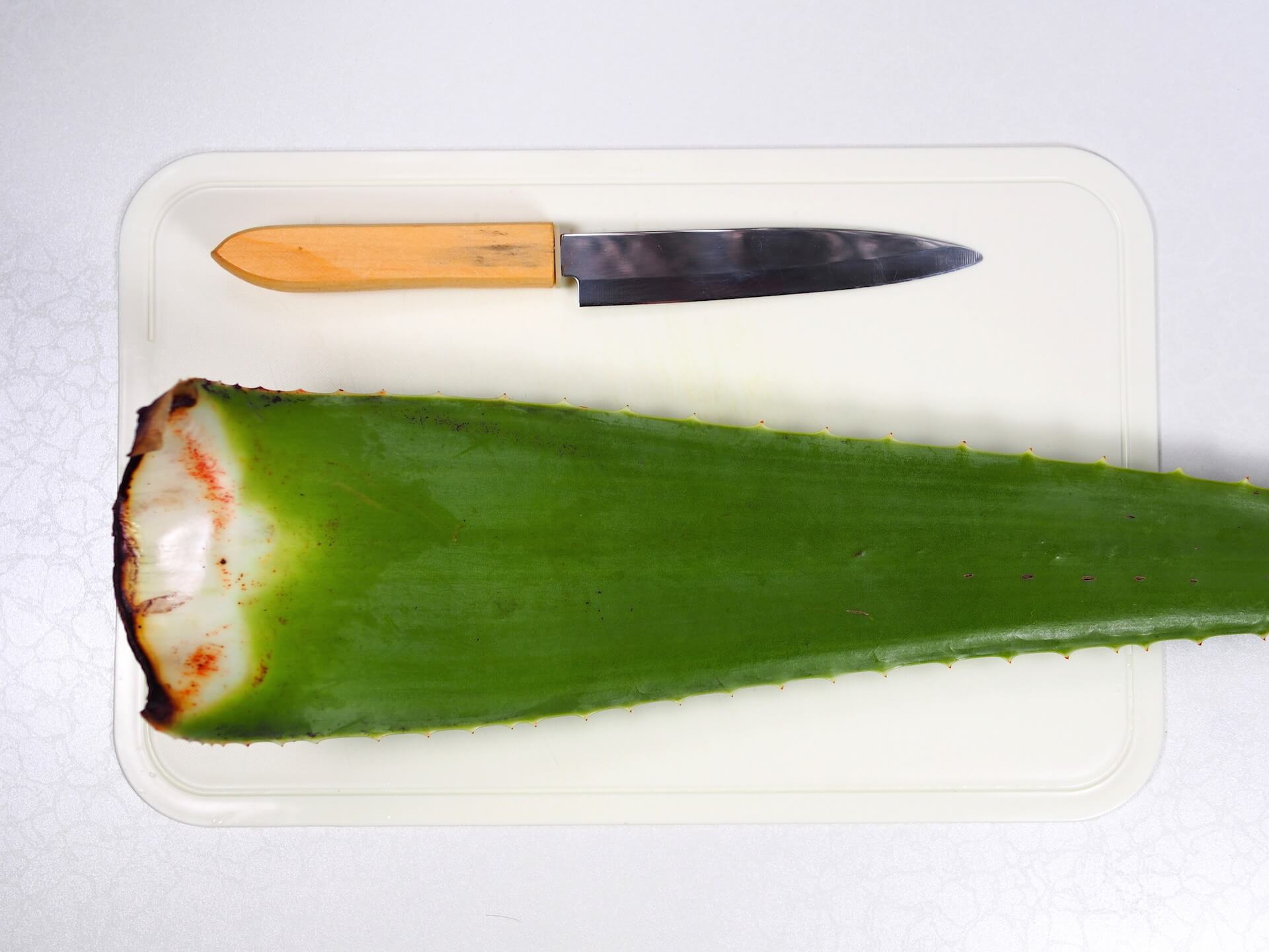 水果刀、粘板與蘆薈