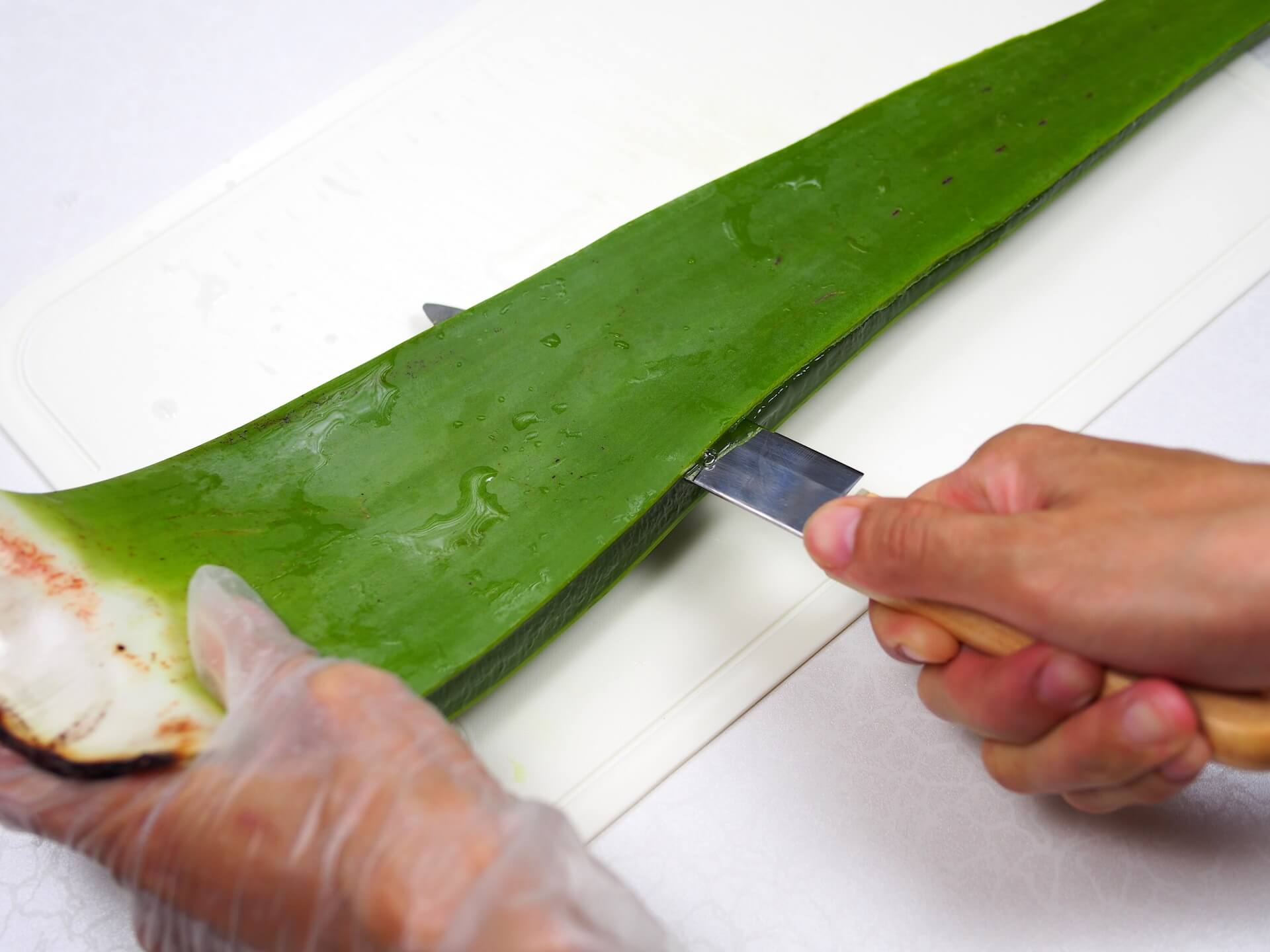 以刀背取出蘆薈肉