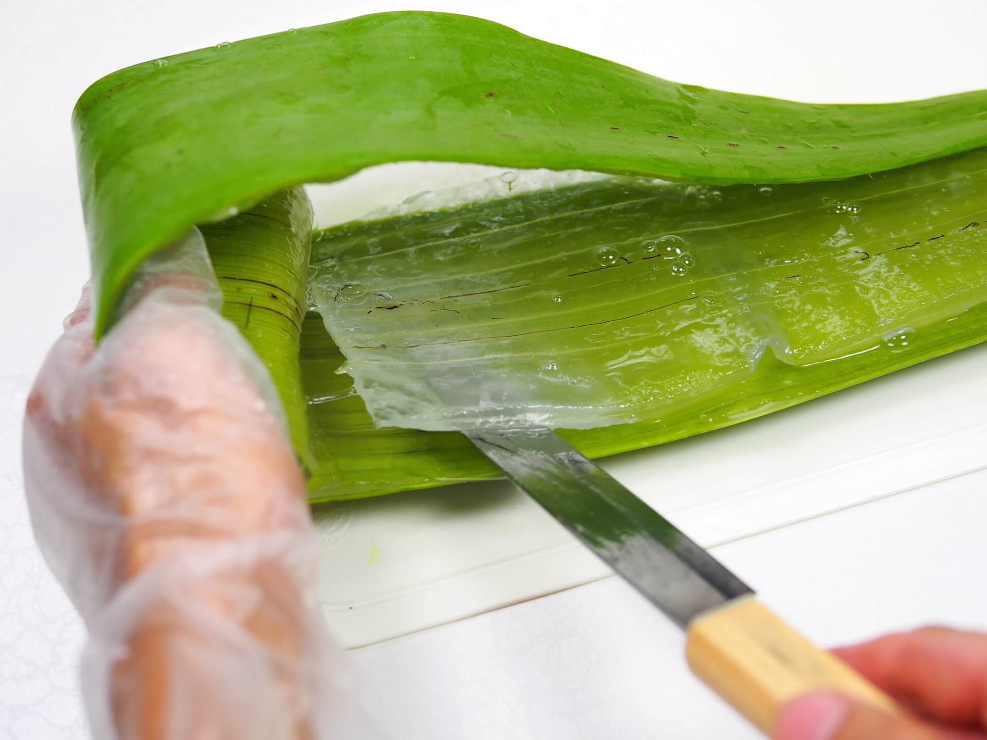 以刀背取出蘆薈肉