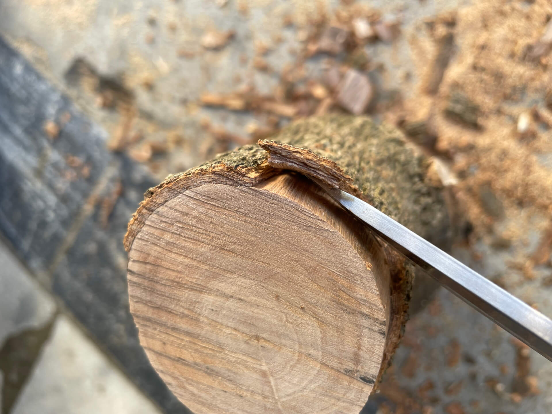 以直刀削掉樹皮