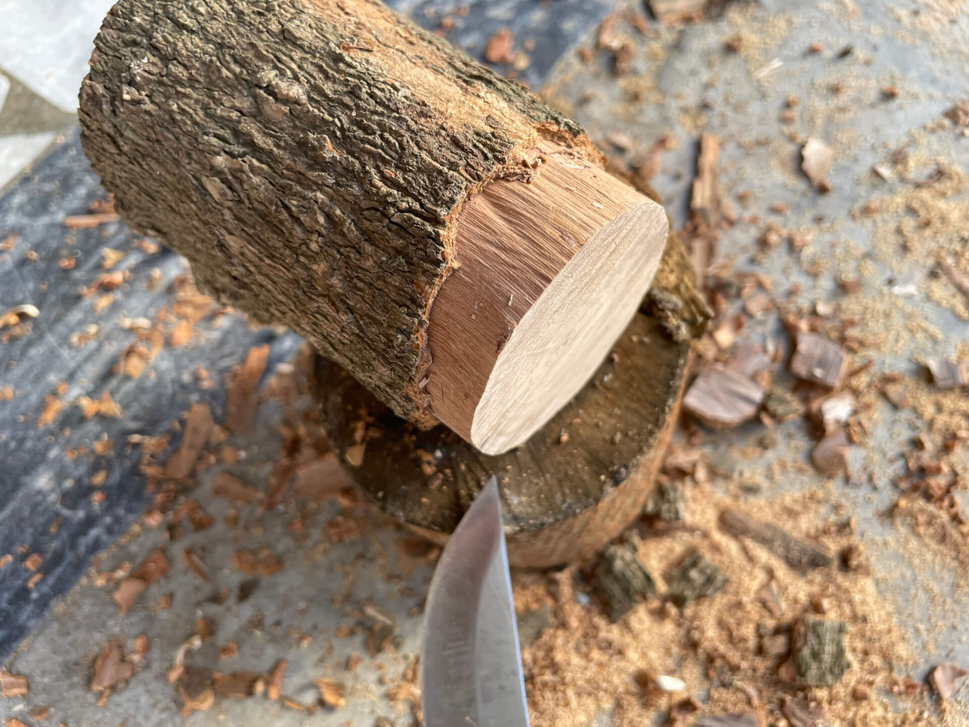 以直刀削掉樹皮