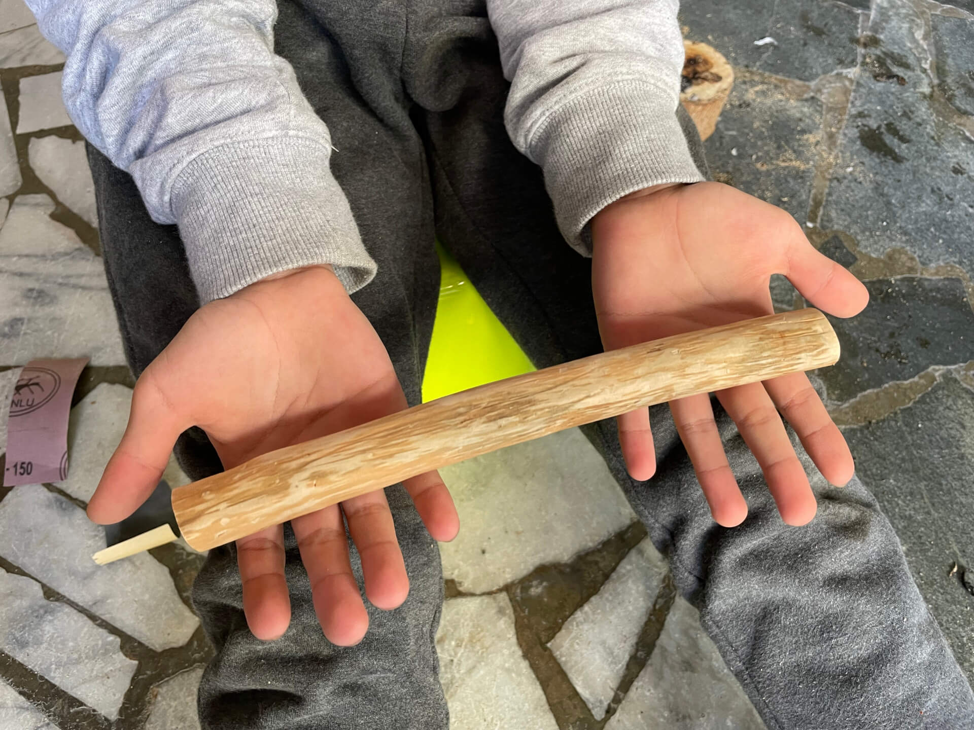 阿玄喜歡的龍眼樹枝