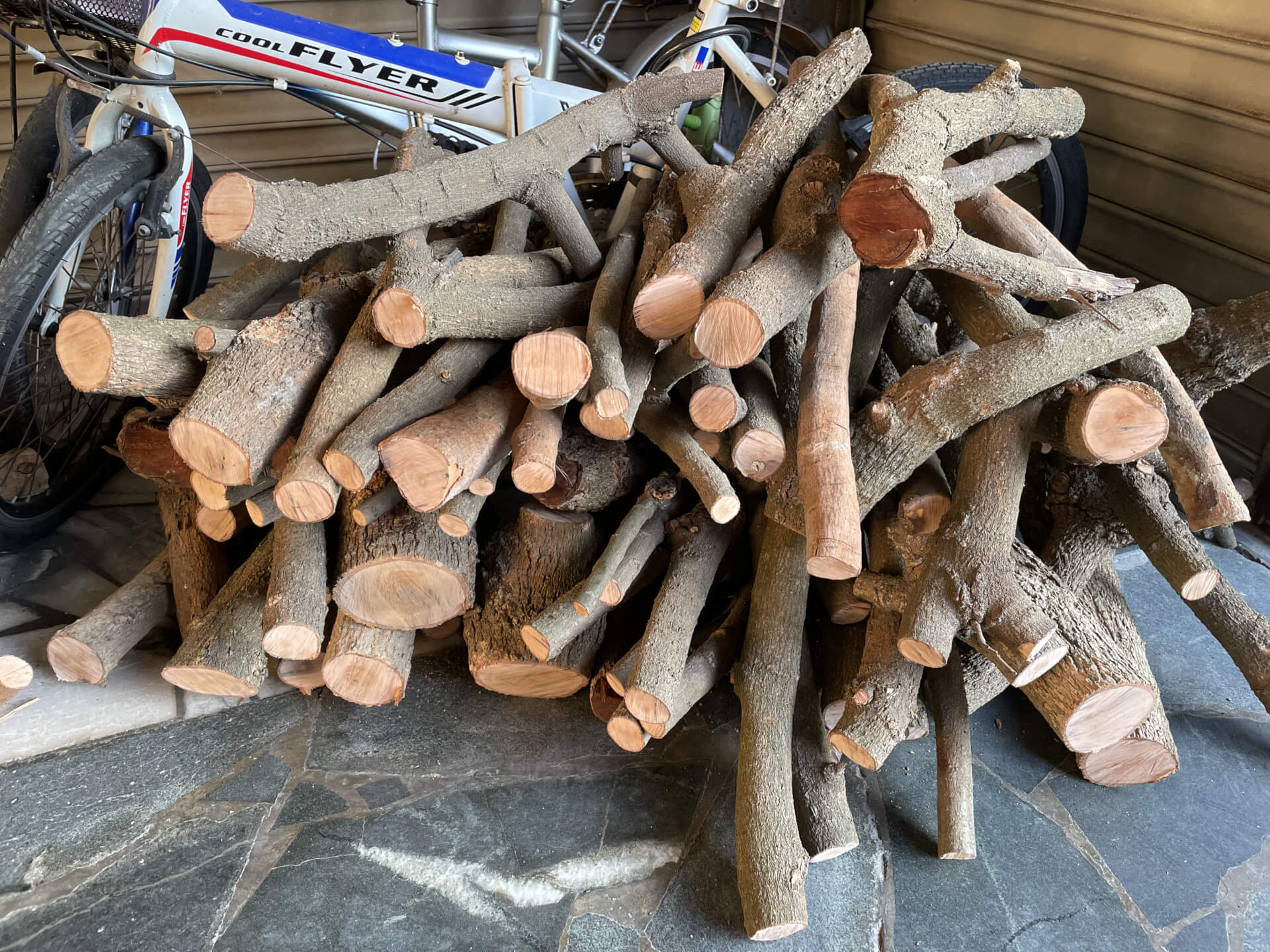 龍眼木修剪枝幹