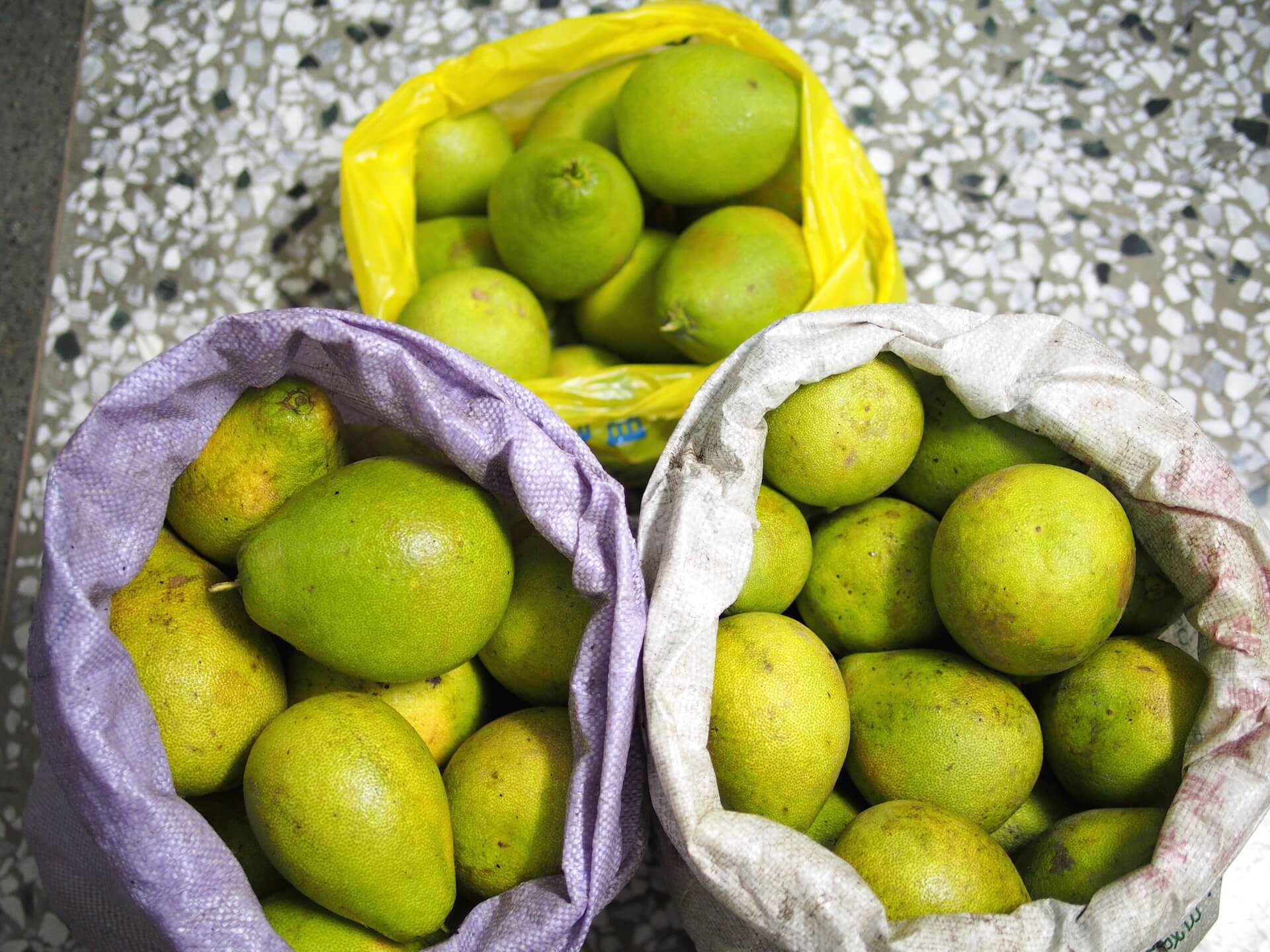 蘇迪勒颱風過後的麻豆文旦落果