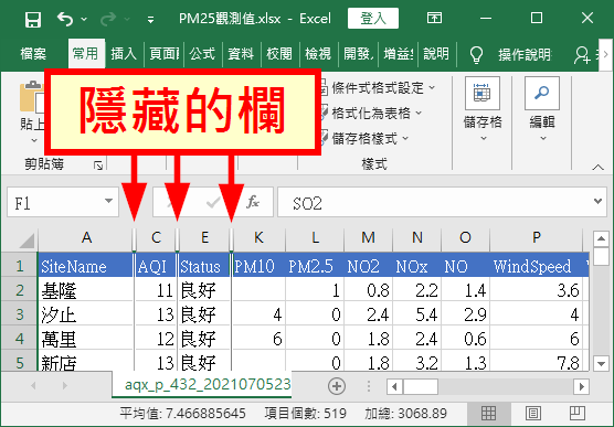 隱藏的欄位