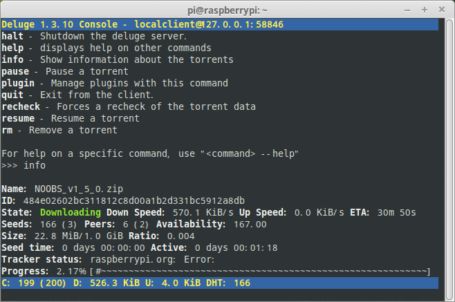 deluge-console-interface-1