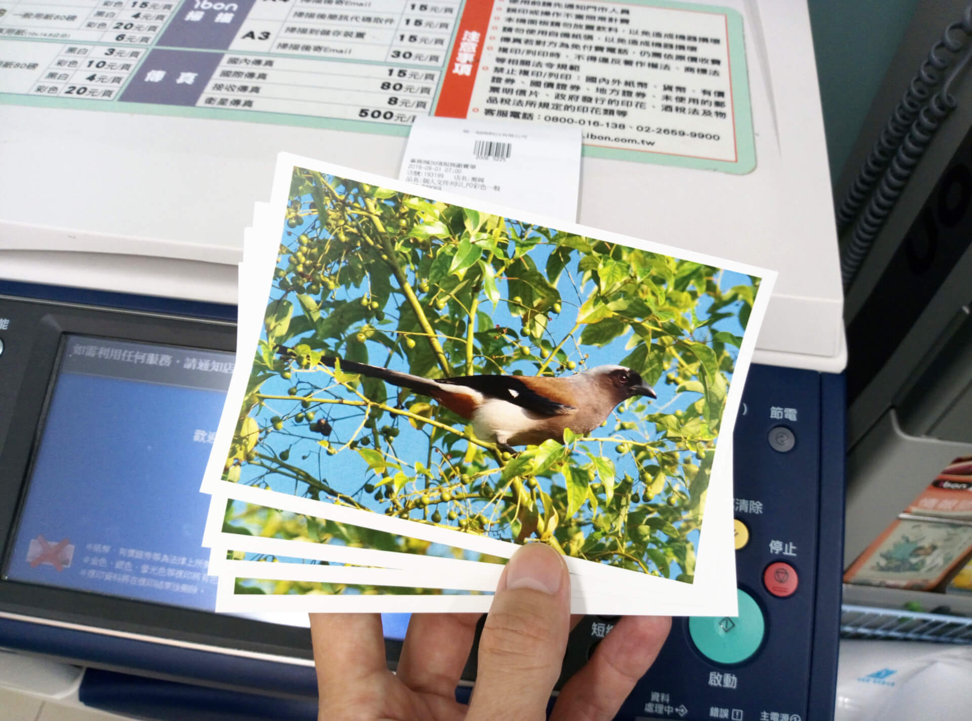 ibon 4 X 6 相片明信片