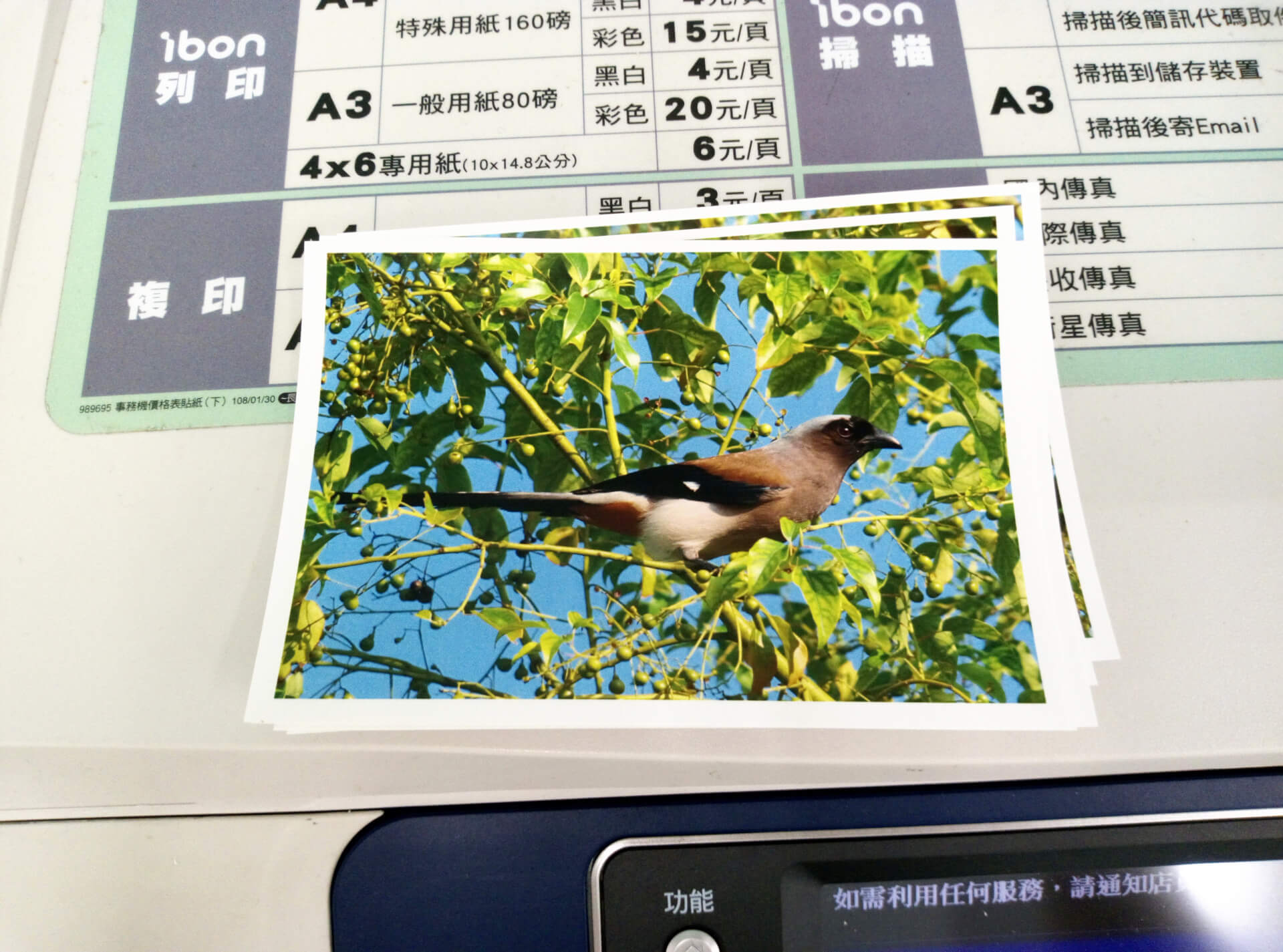 4 X 6 相片明信片正面