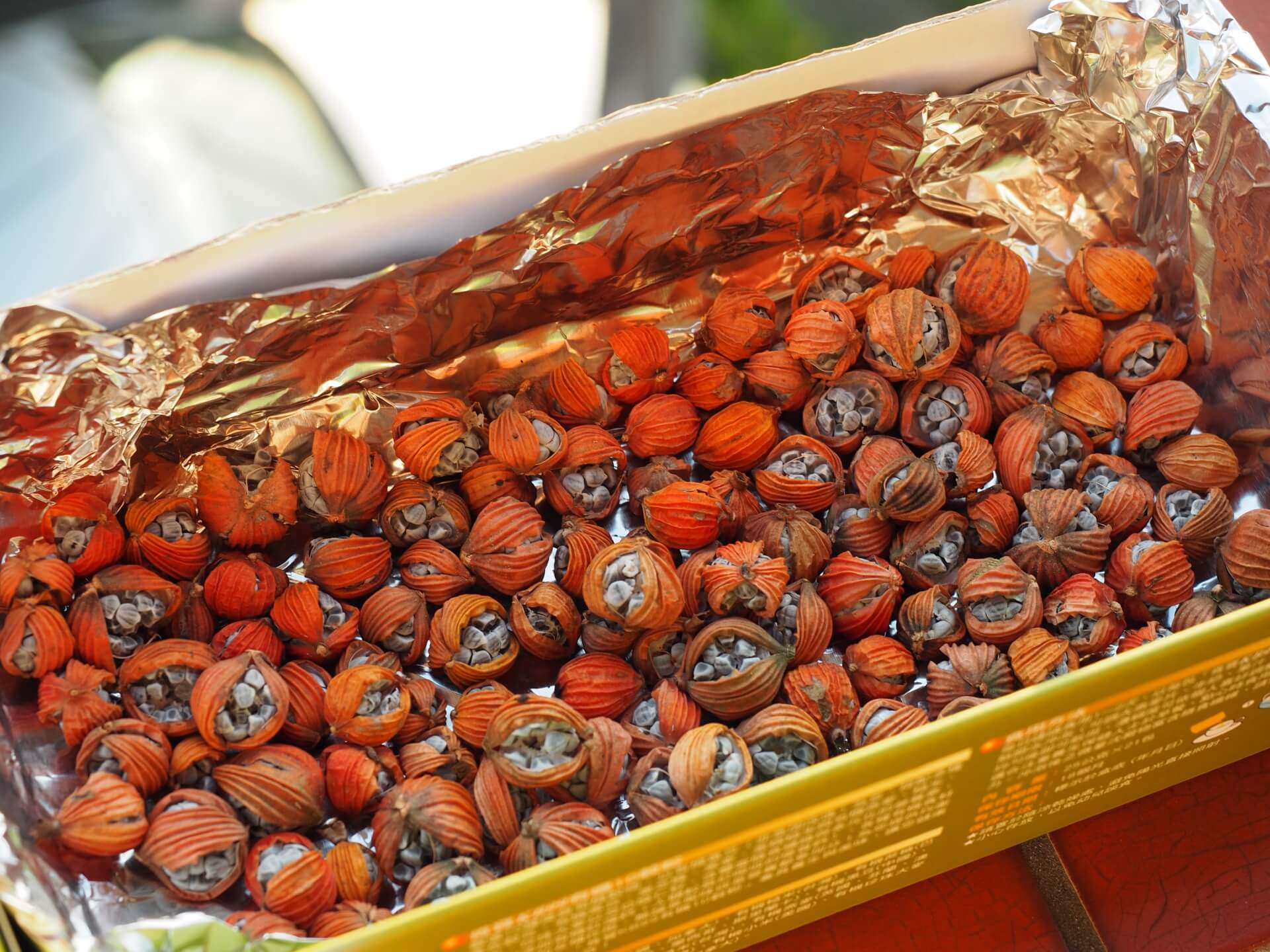 艷山薑（月桃）種子