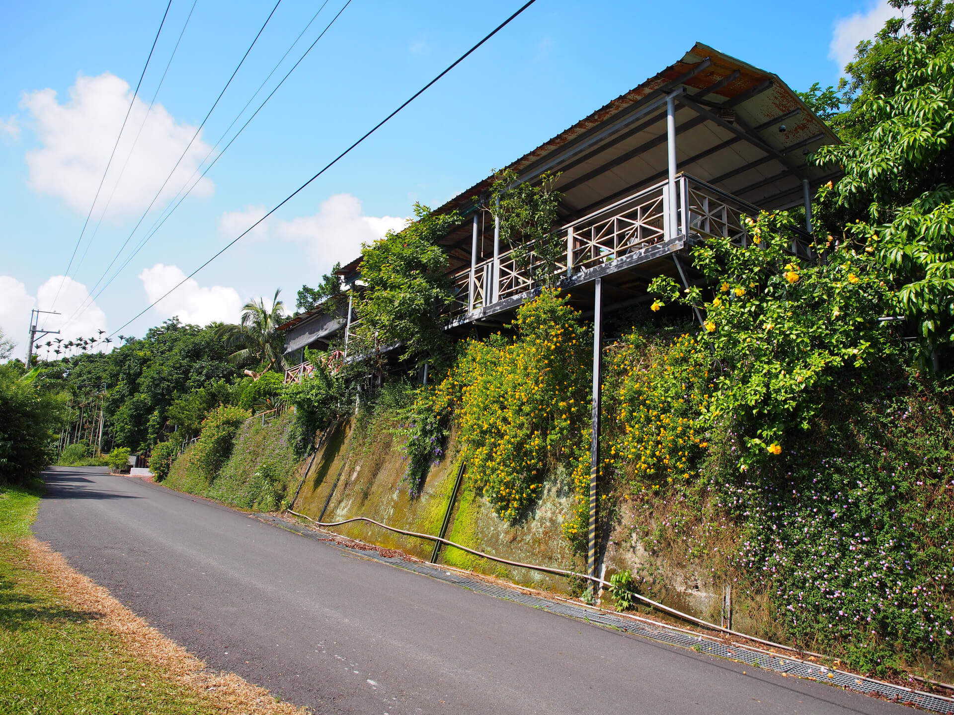 鄉舍咖啡館路邊