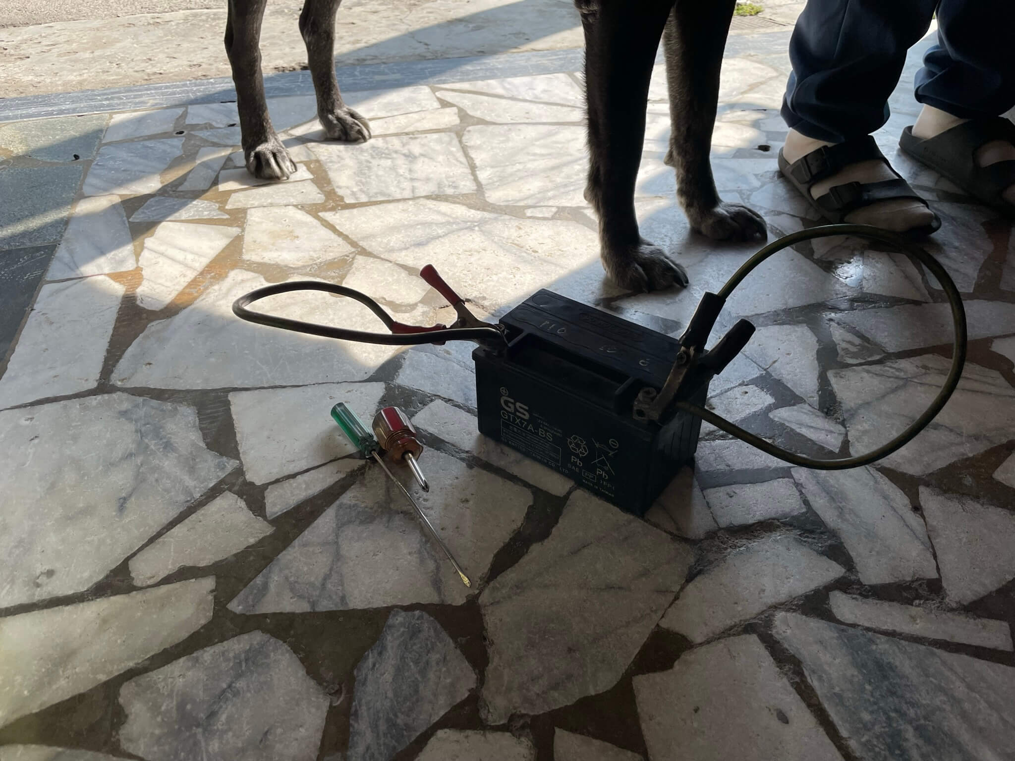 跟車行老闆借的電瓶